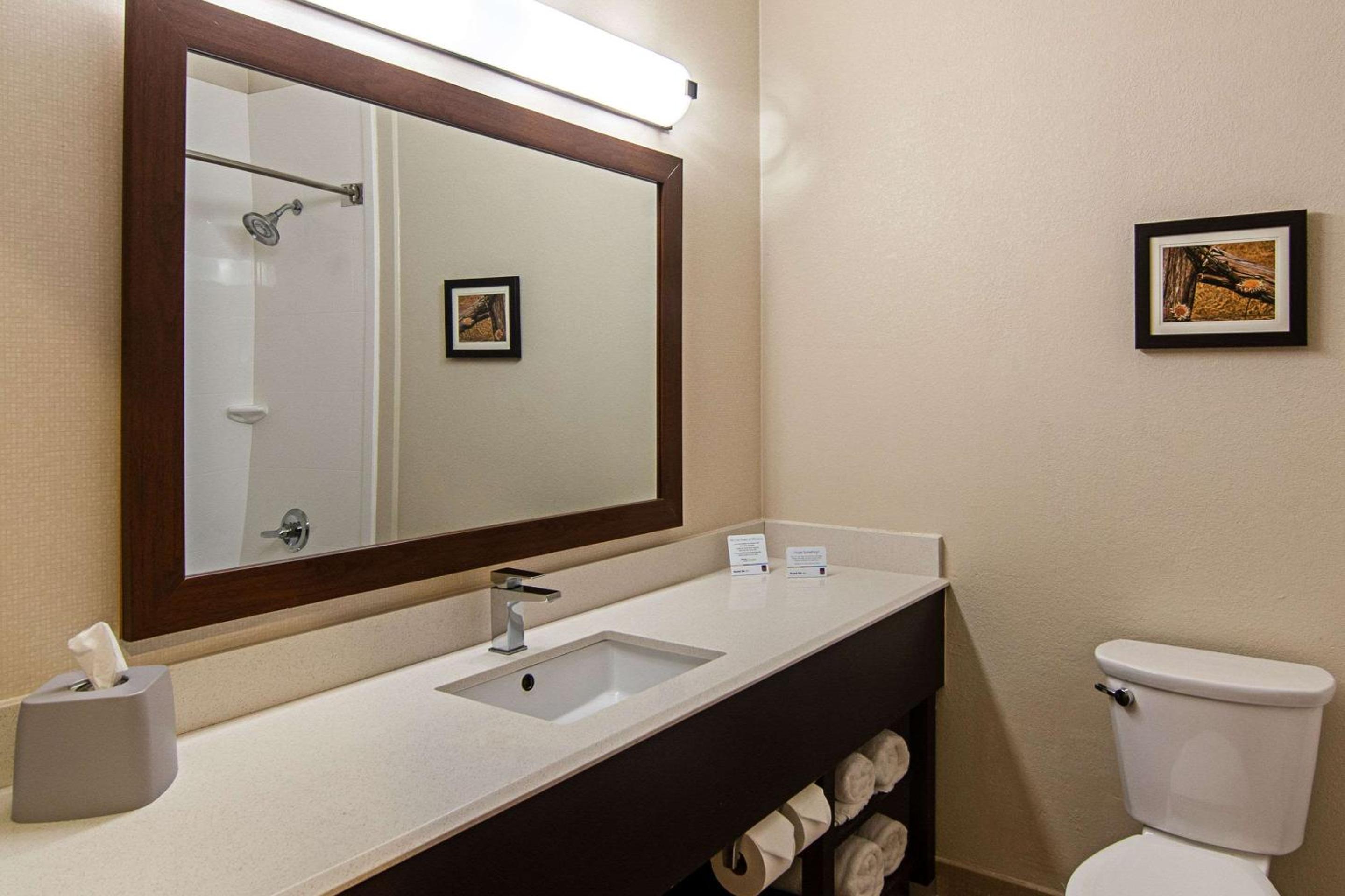 King Suite - Non-Smoking photo 3