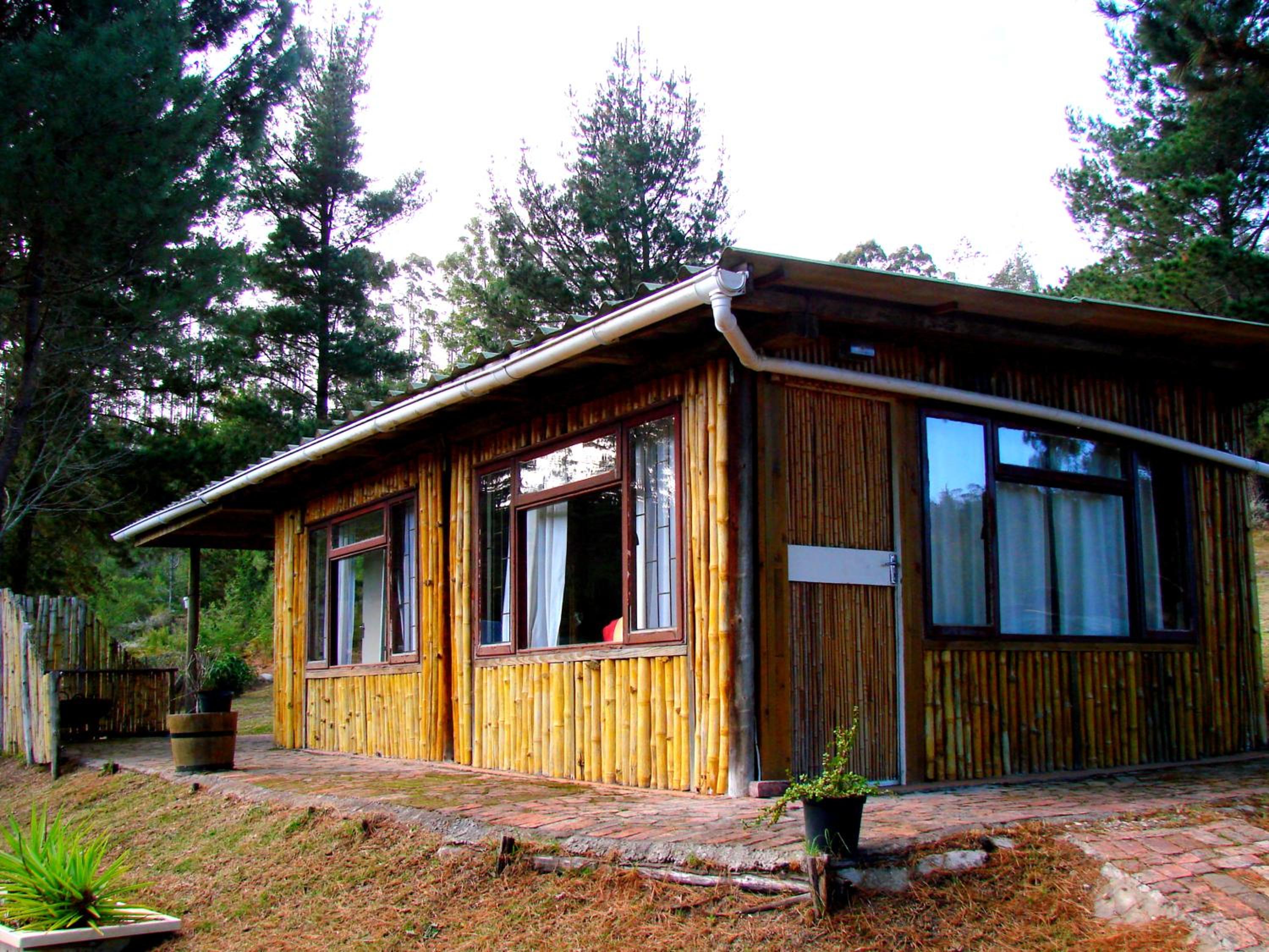 Family Bungalow - Photo 8