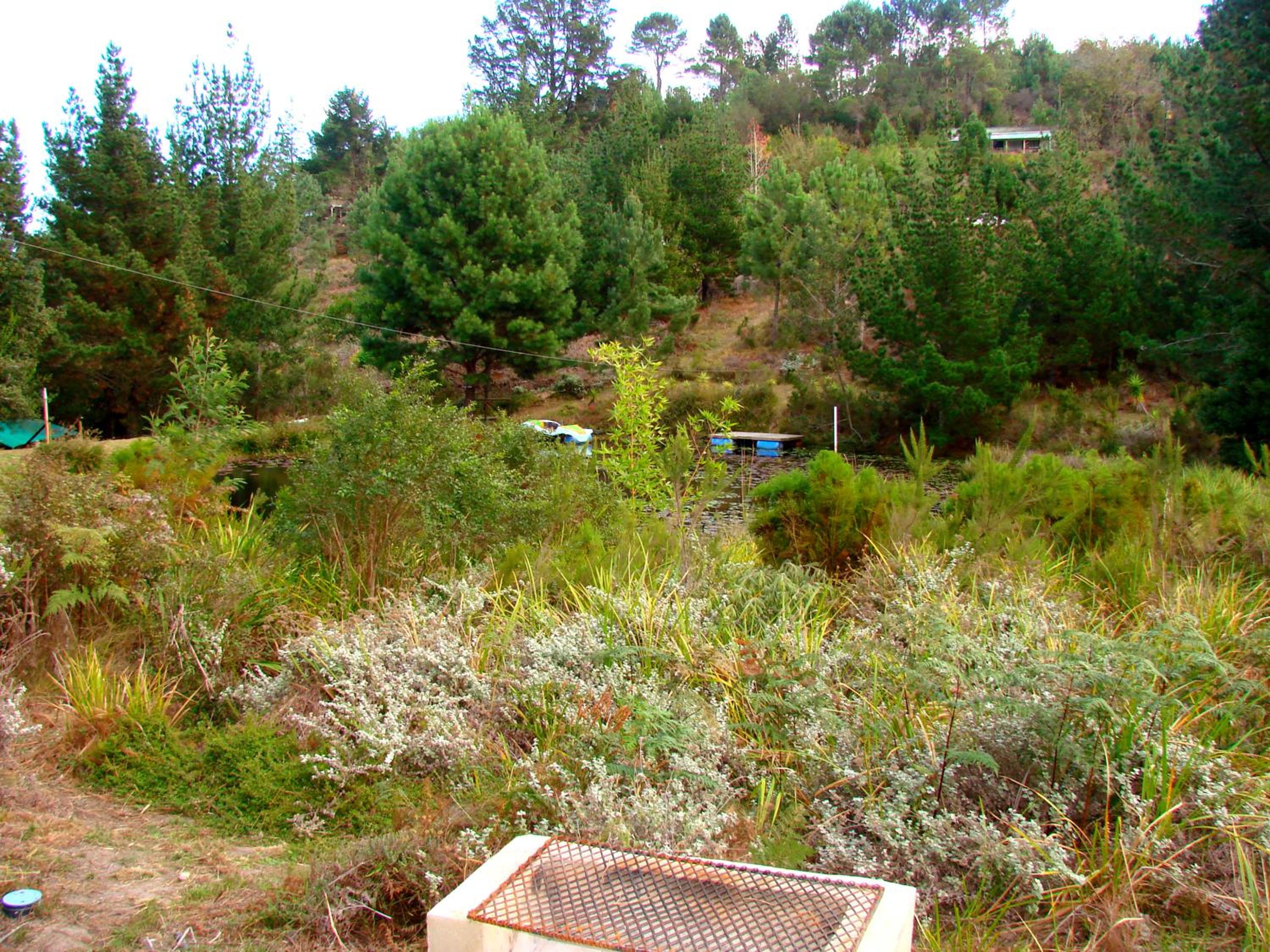 Caravan - Photo 4