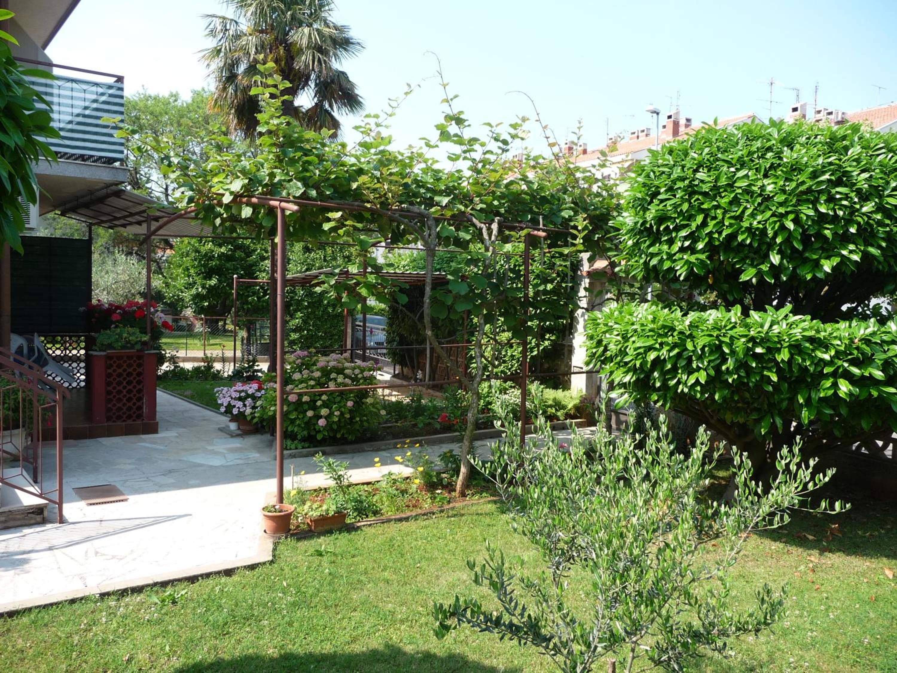 Studio with Terrace photo 2