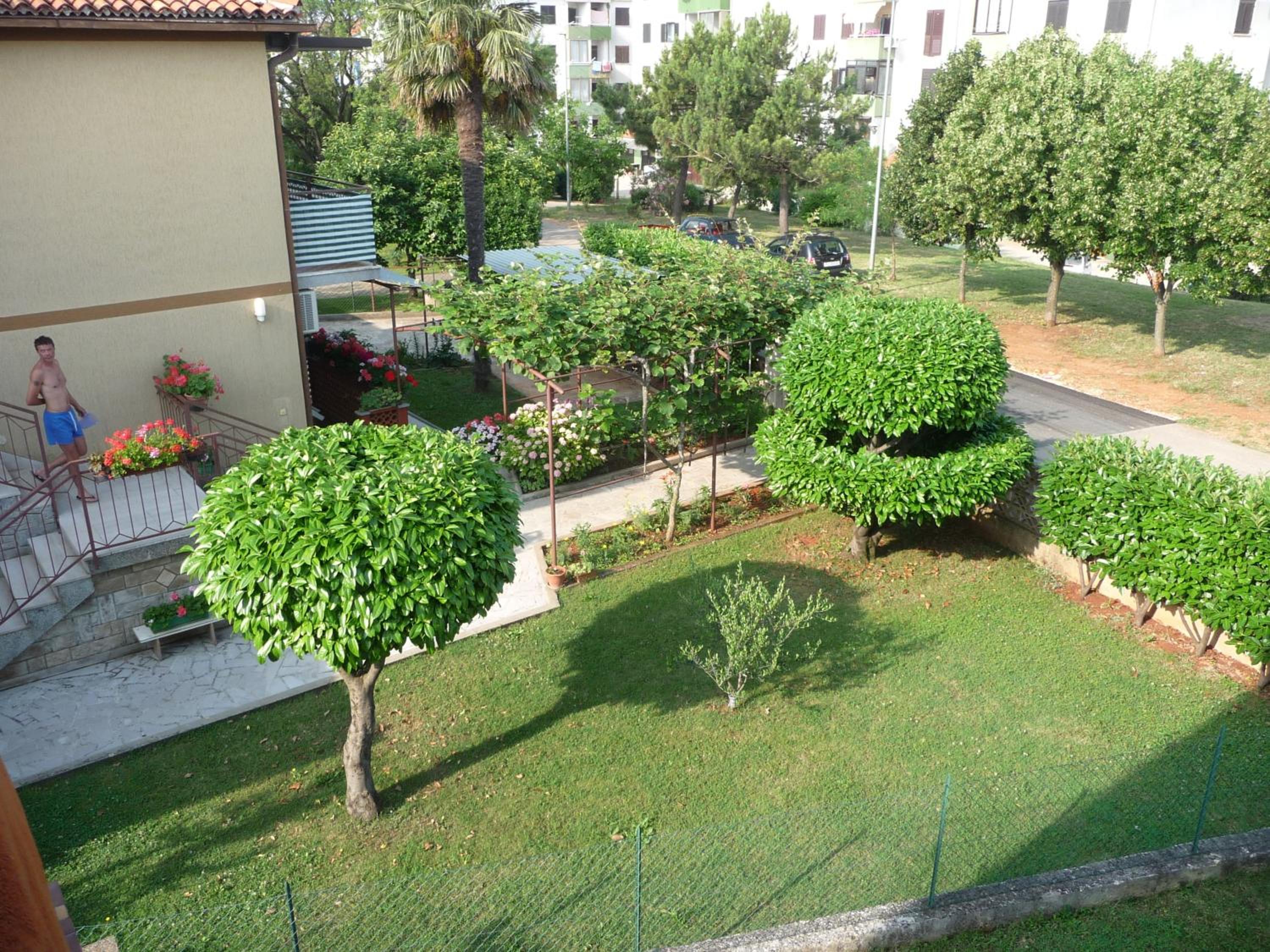 Studio with Terrace photo 3