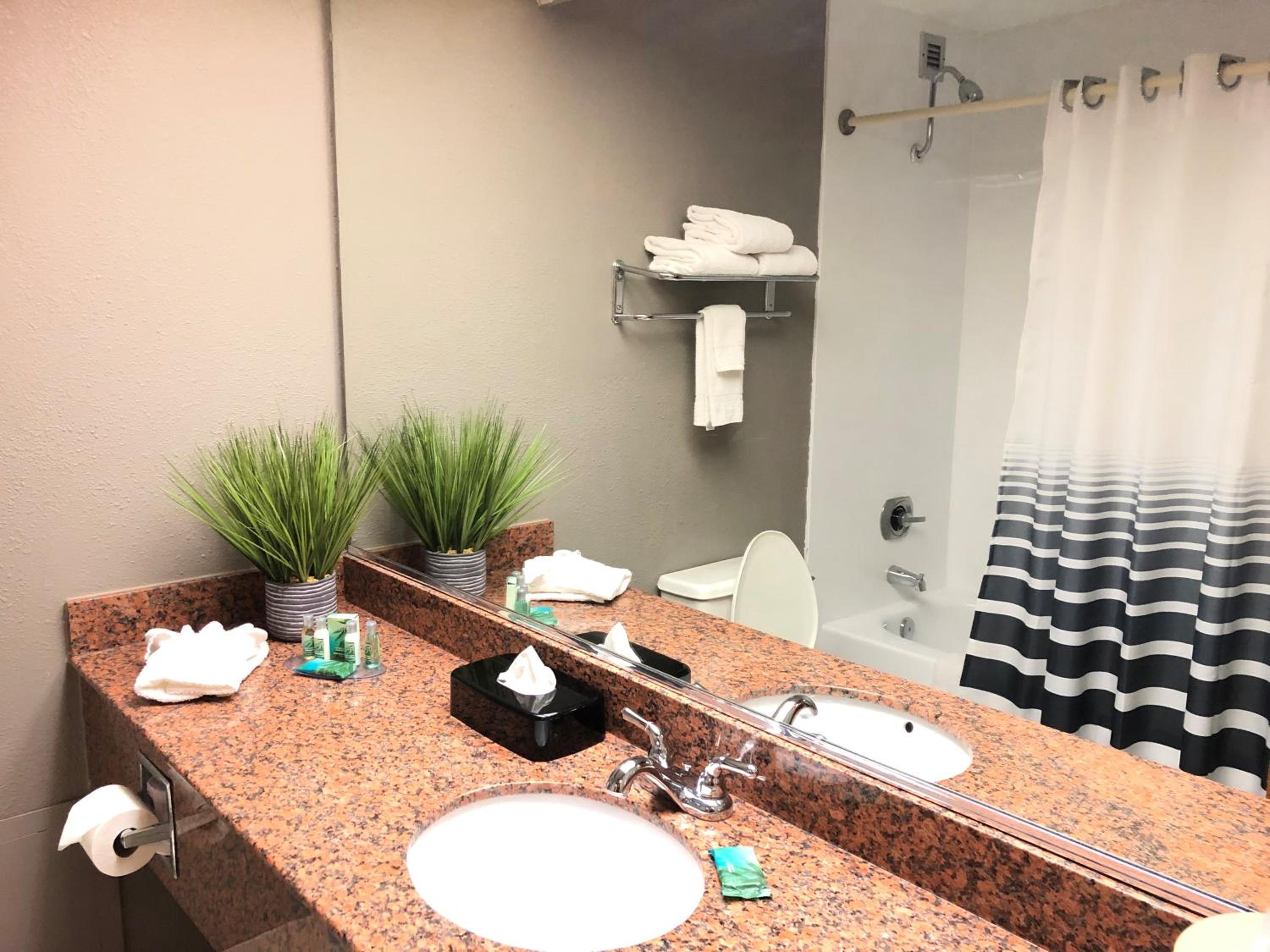 King Suite photo 2