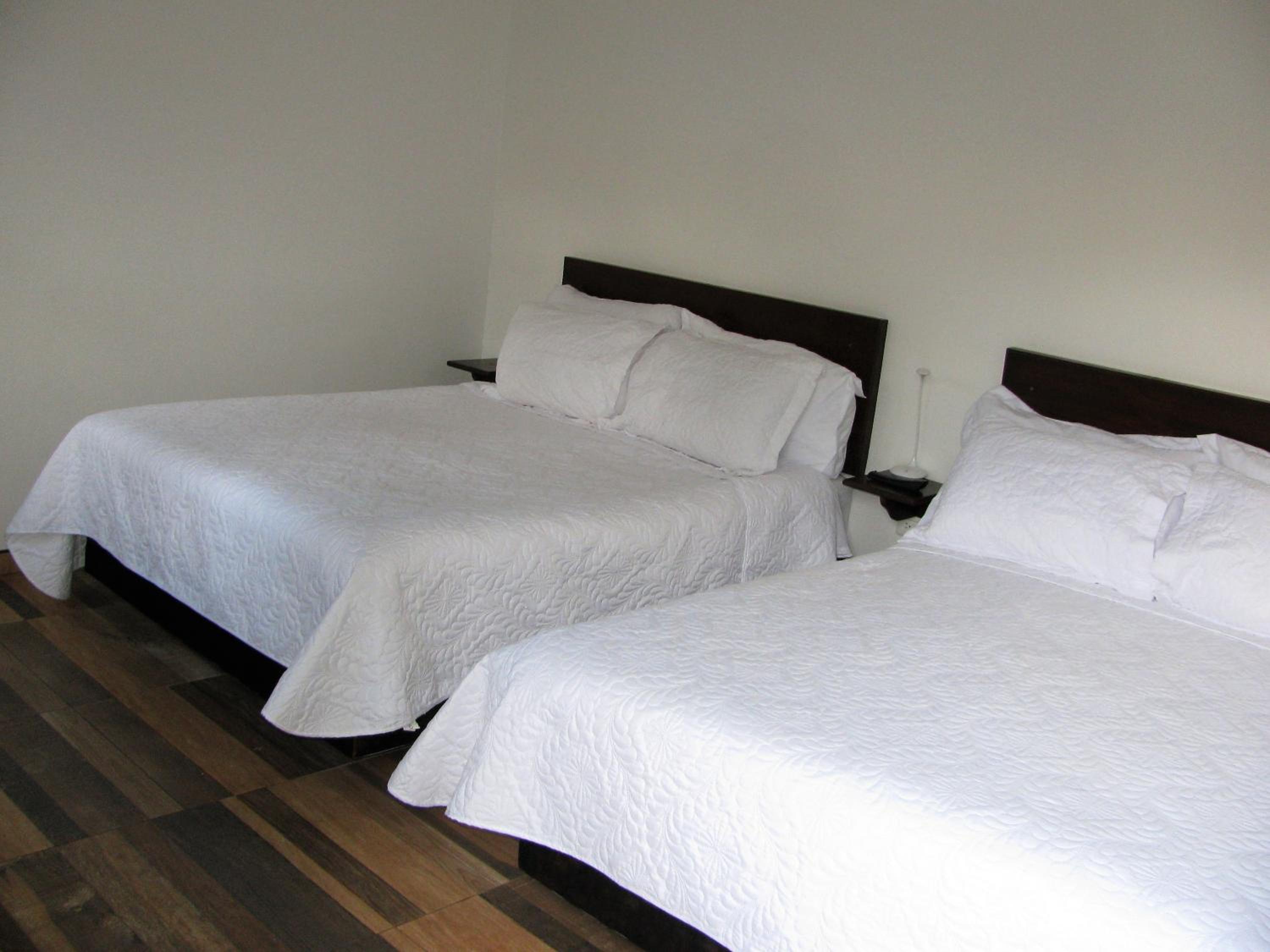 Double Room with Garden View photo 2