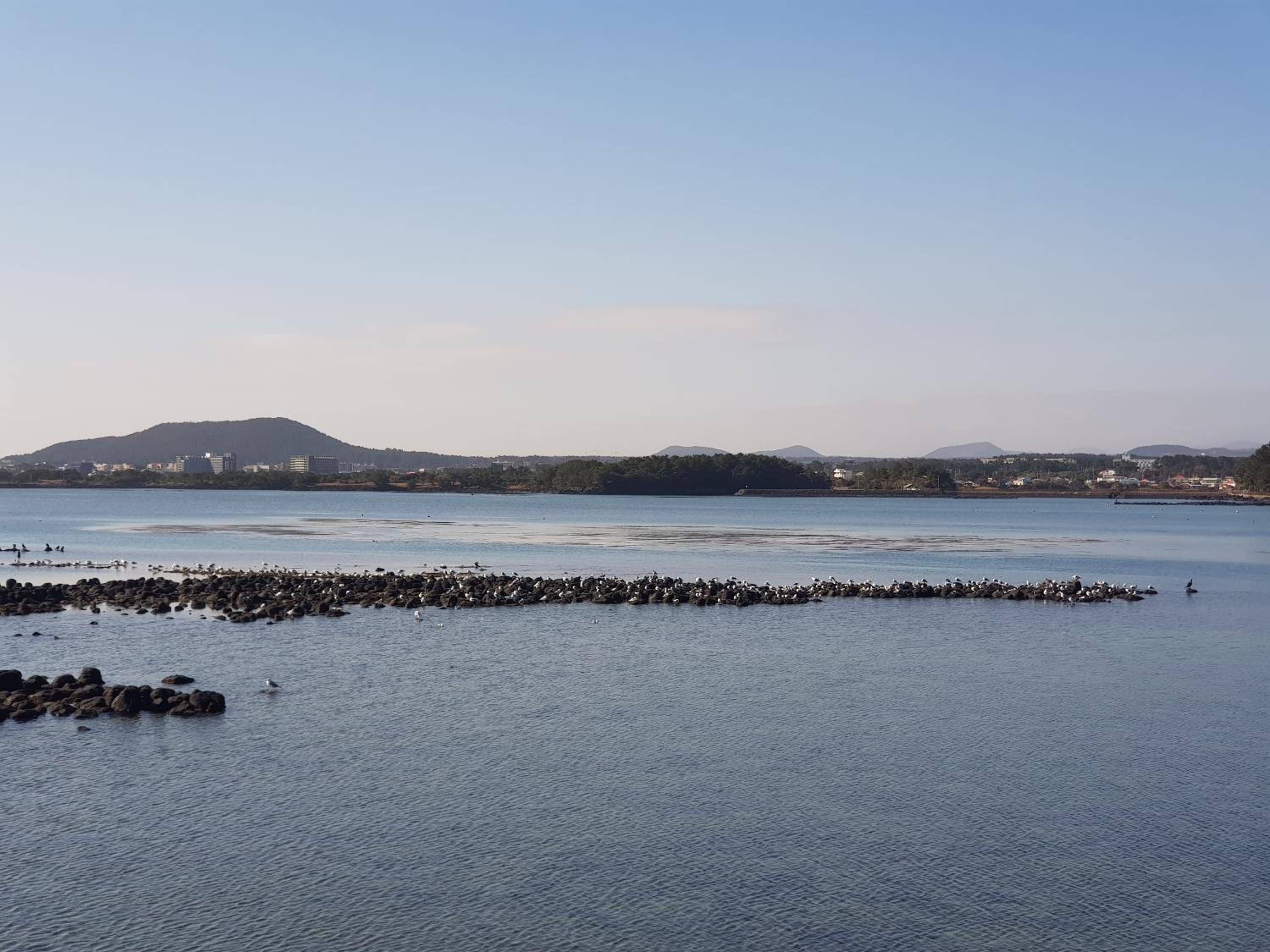 Standard Studio - Photo 16