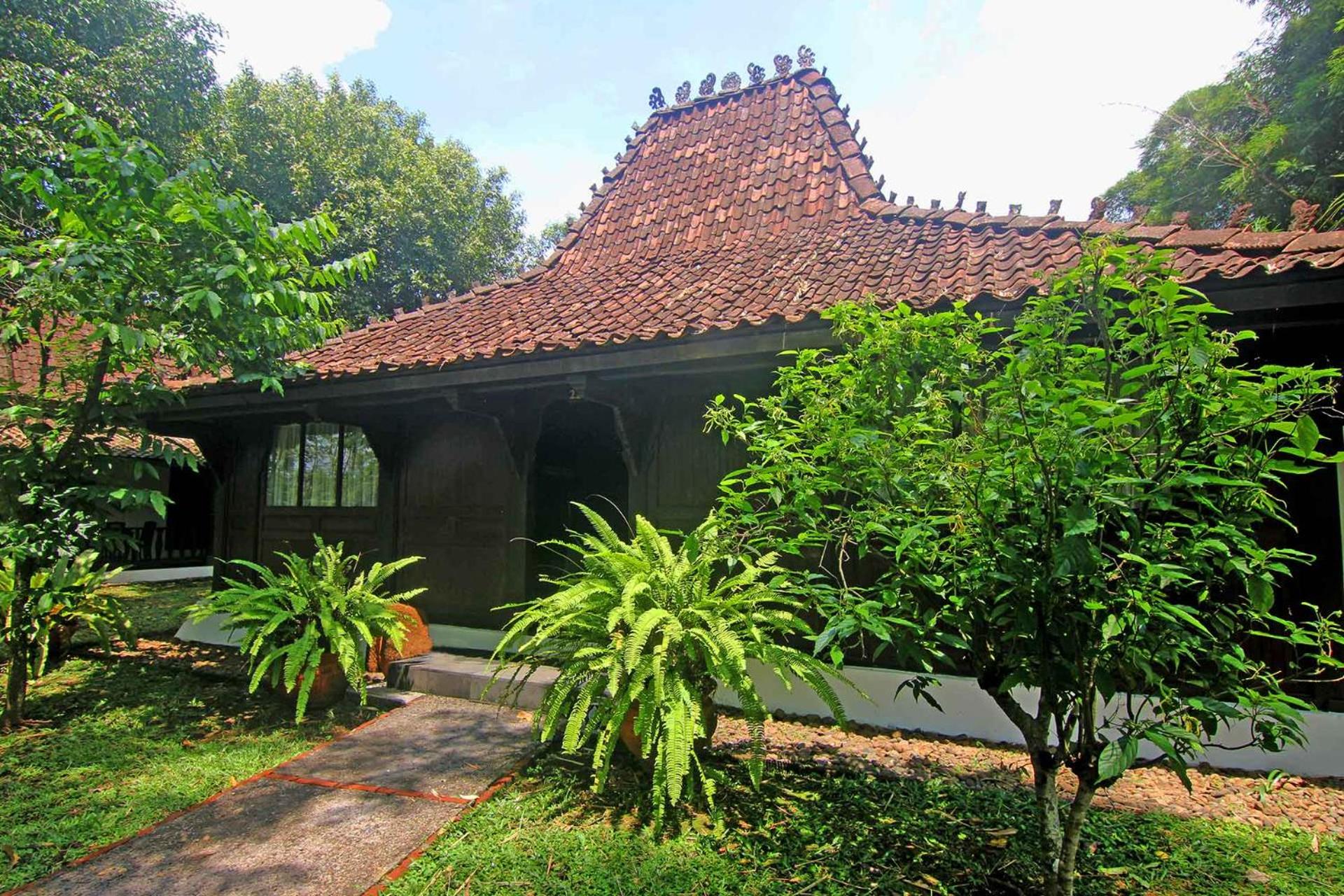 Arum Villa photo 2