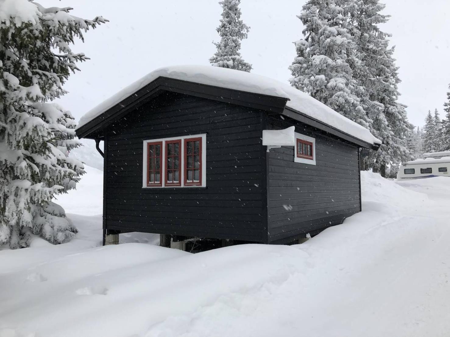 One-Bedroom Cottage photo 2
