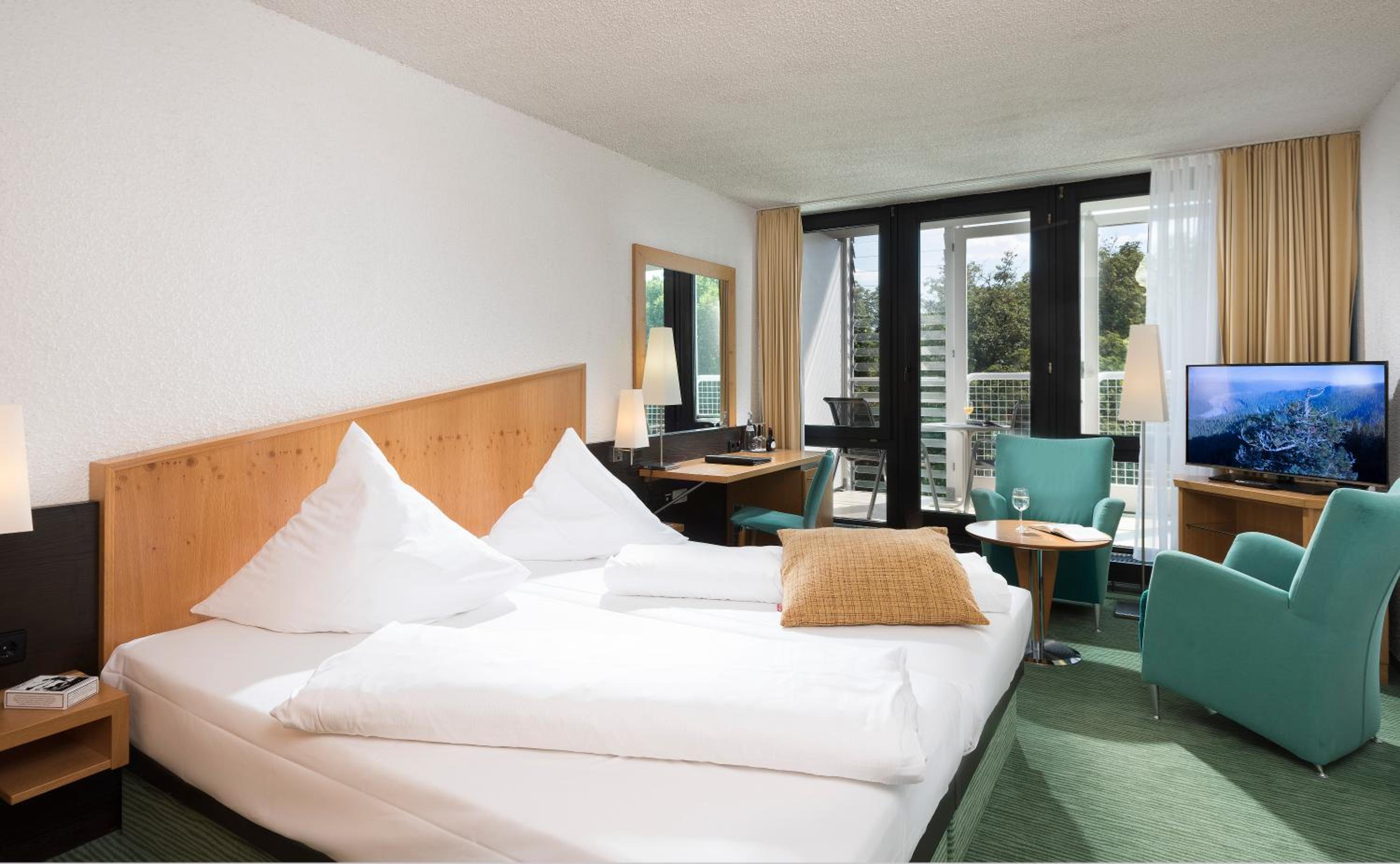 Comfort Double Room with Park View photo 2