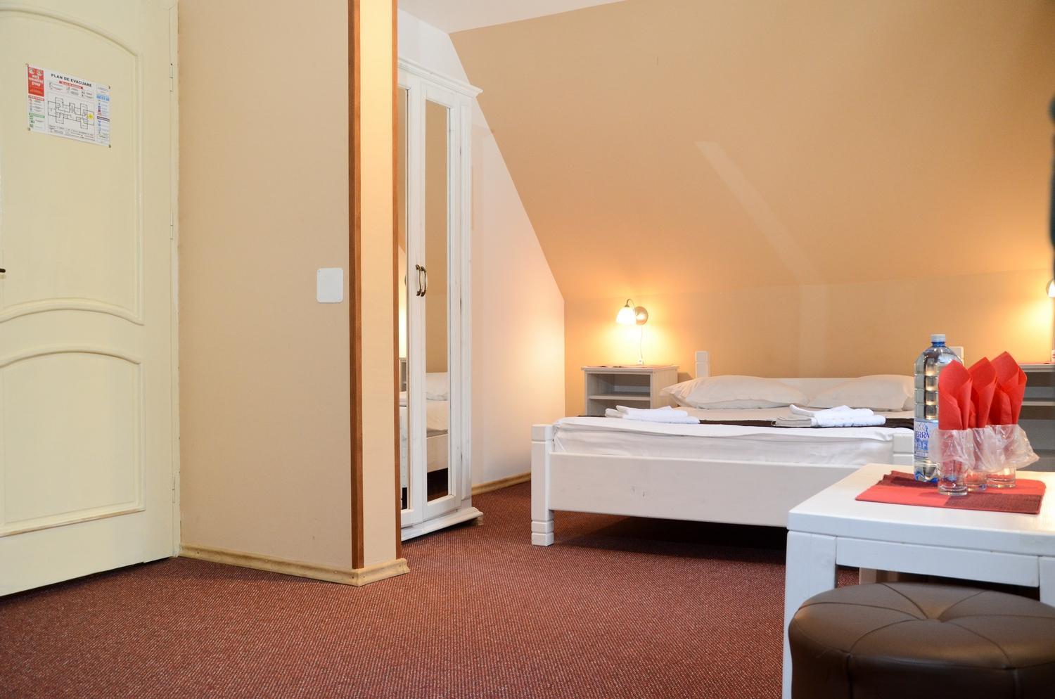 Standard Family Room - Attic - Photo 5