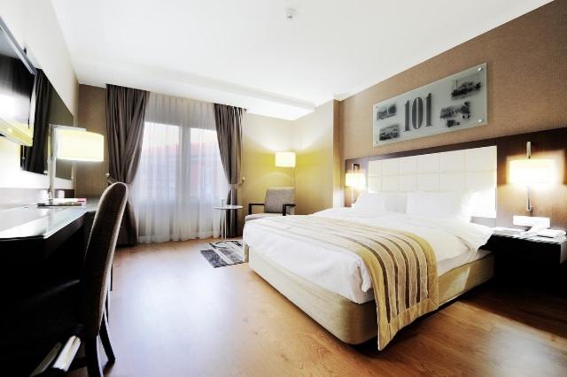 Single Room photo 1