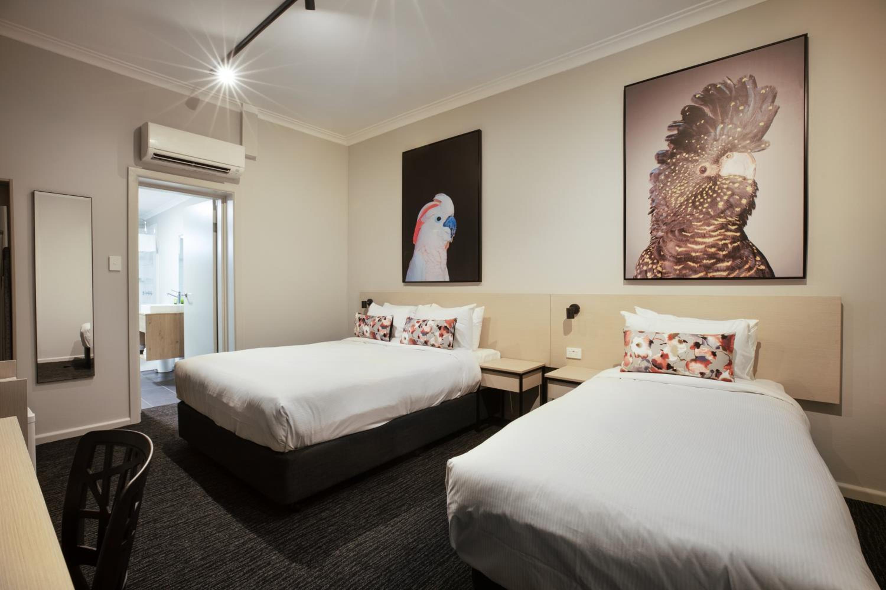 Studio with Queen and Single Bed