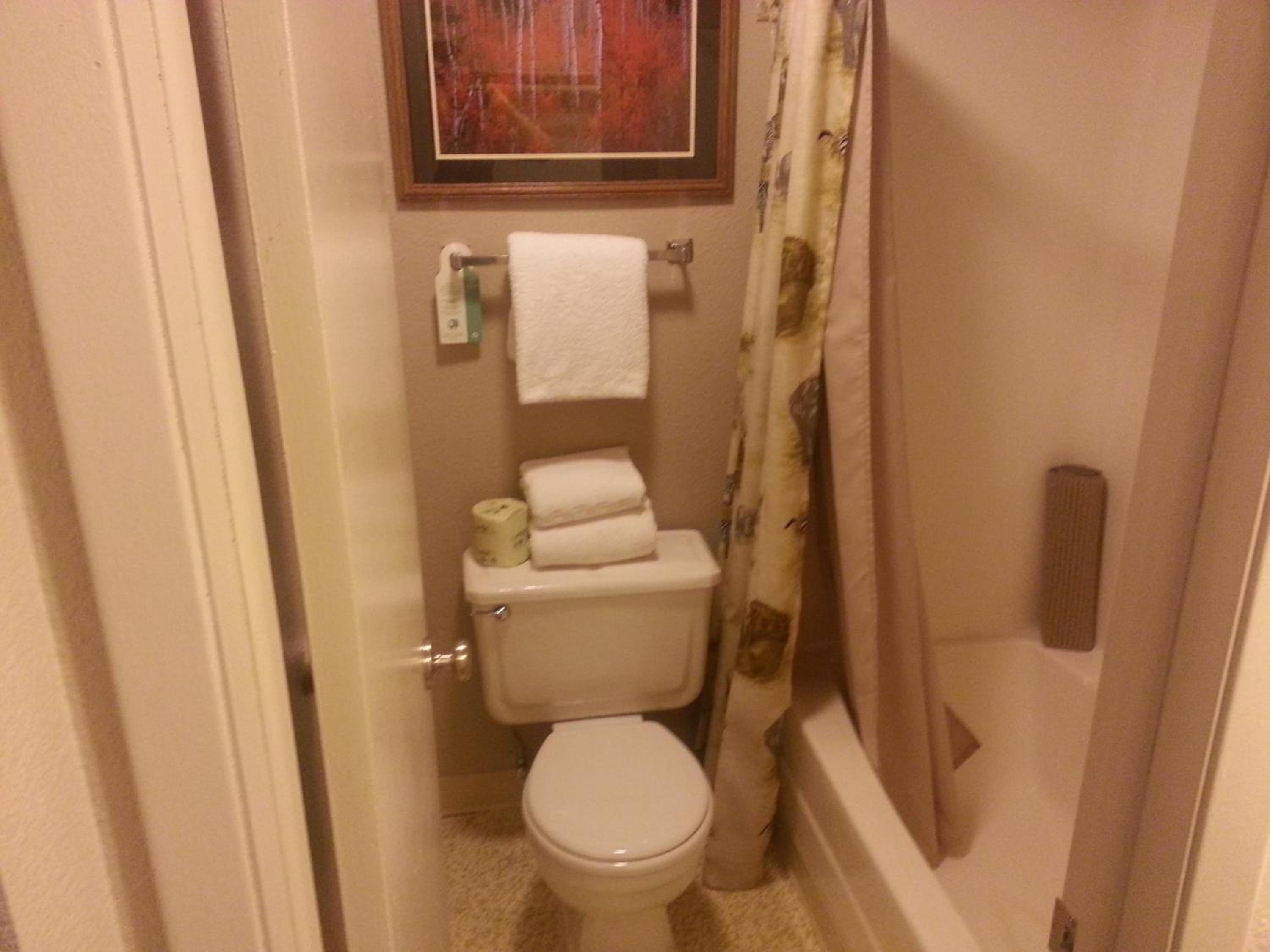 Deluxe Queen Room photo 3