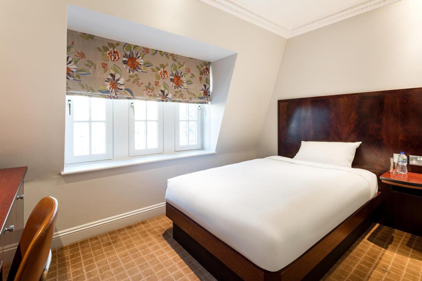 Superior Single Room photo 1