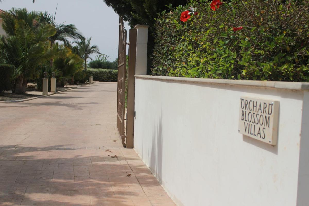 Superior Villa photo 2