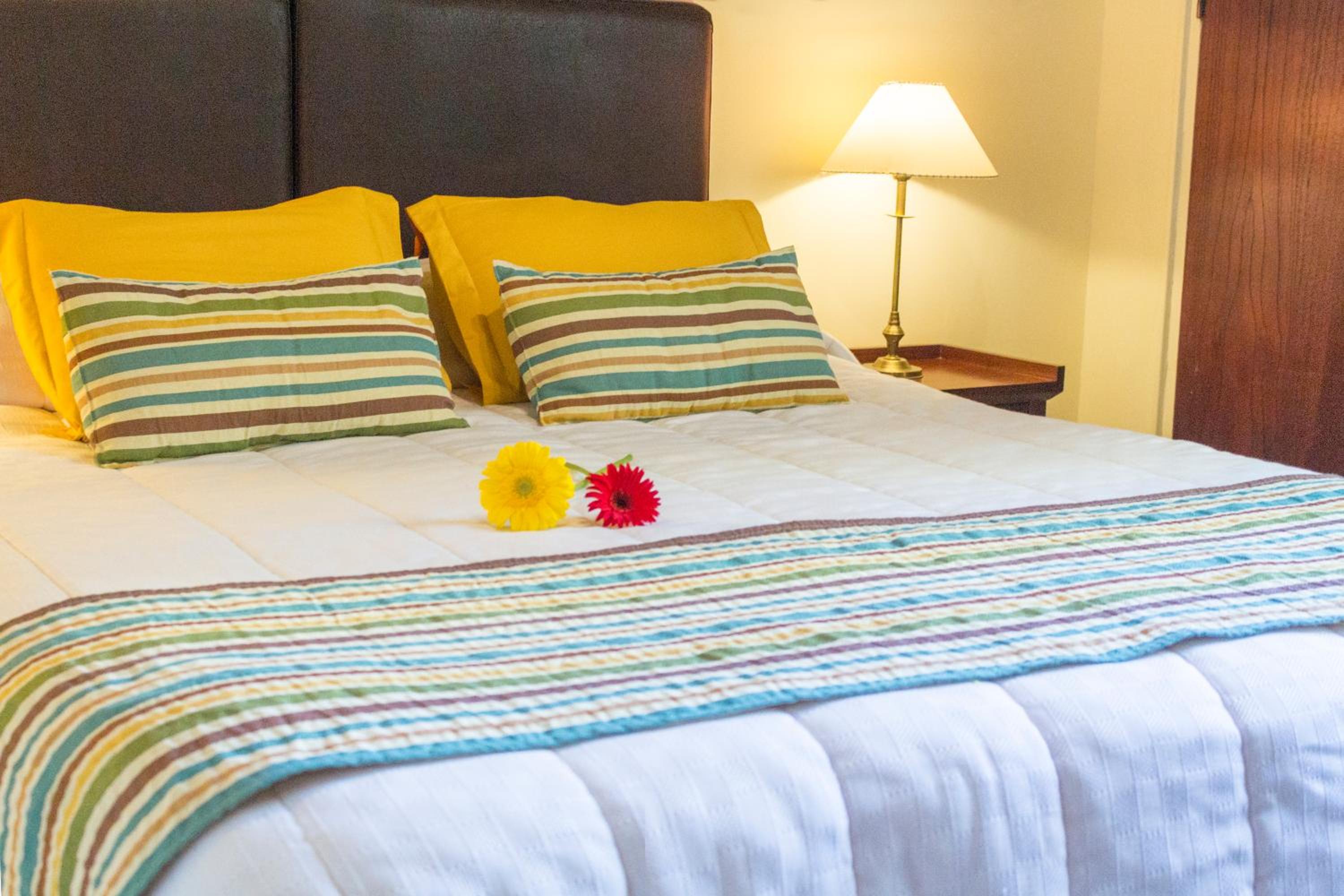Double Room — the supplier's photographs — photo 2