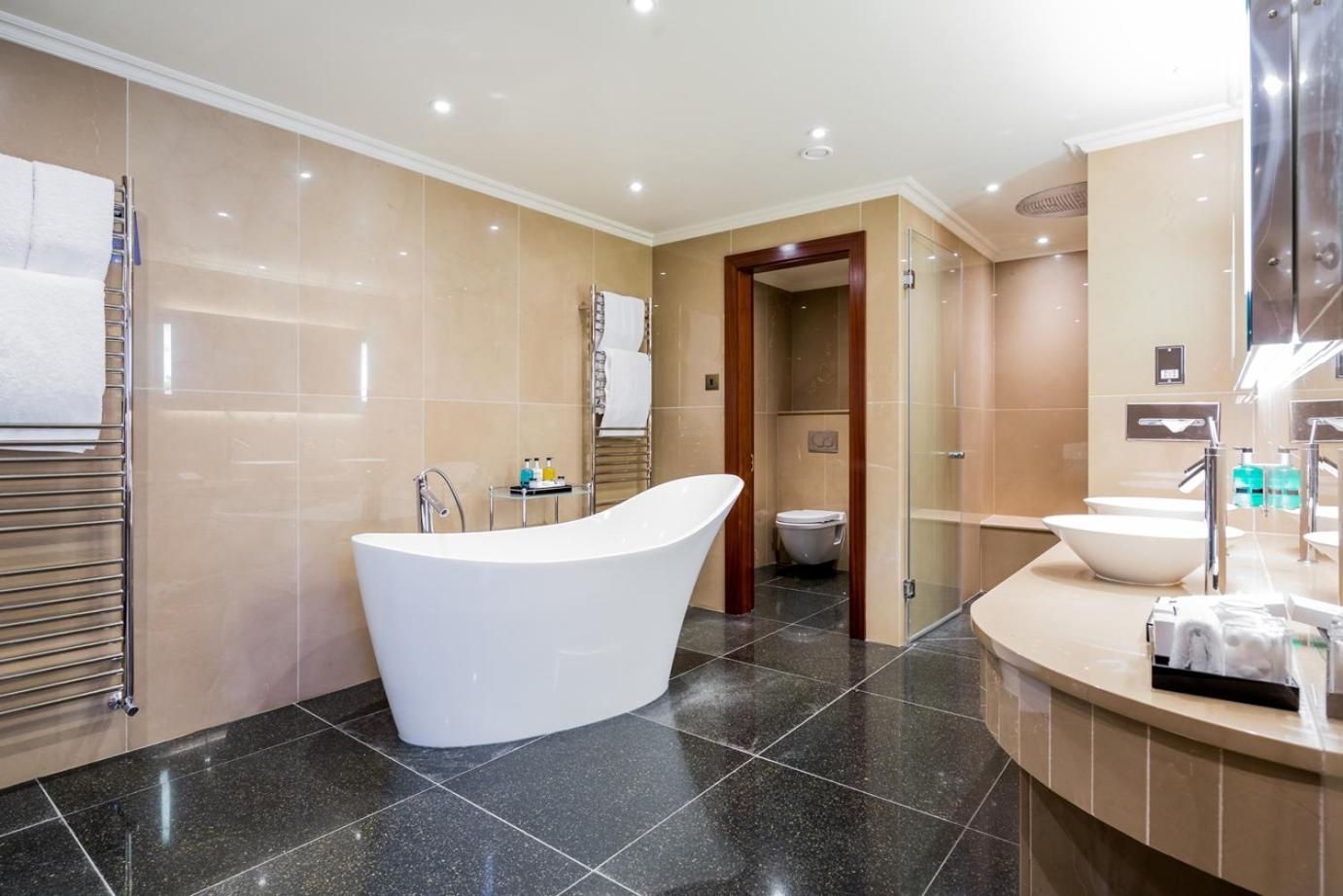 One-Bedroom Suite - Photo 11