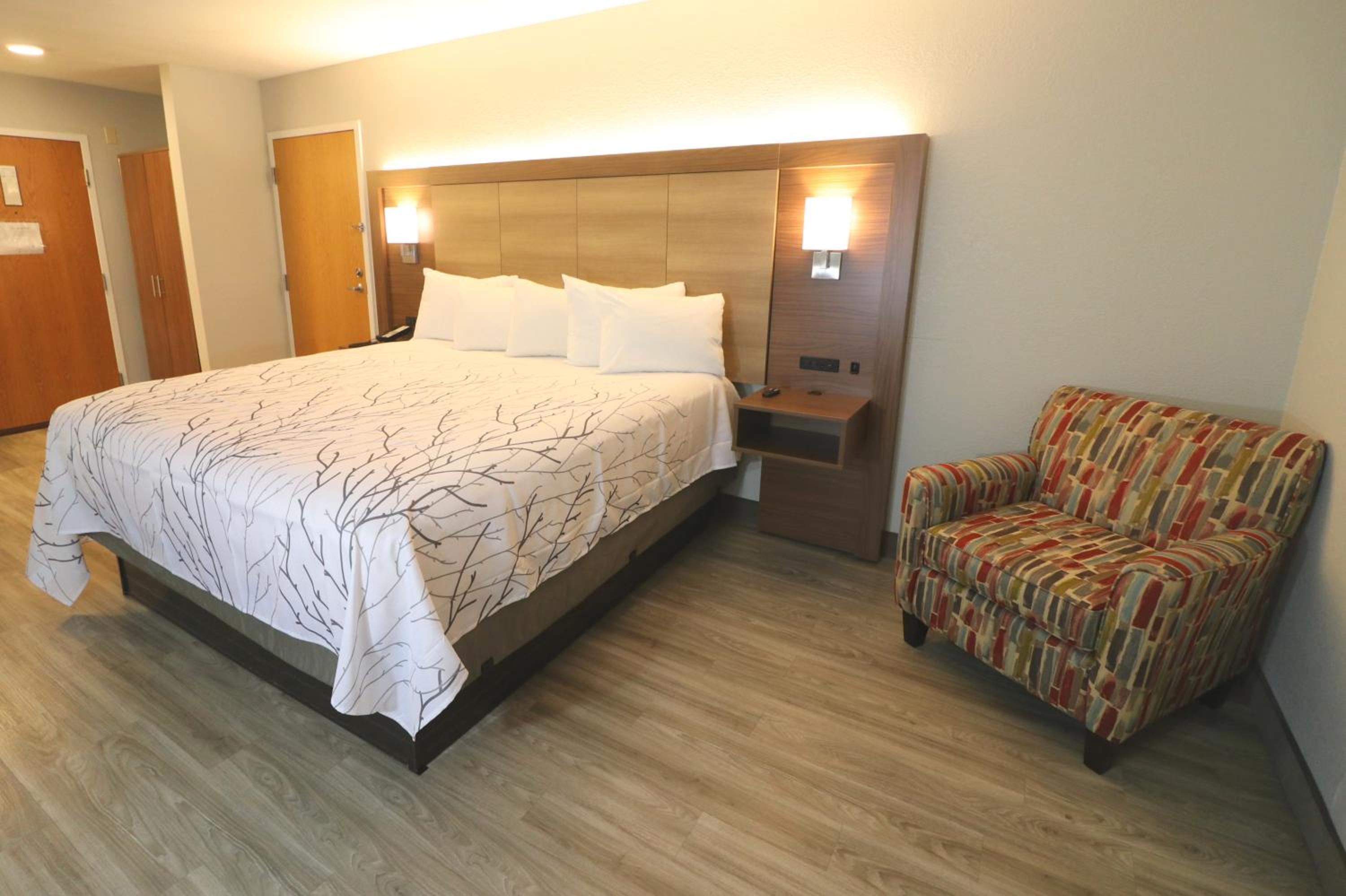 King Room With Roll-In Shower - Disability Access - Photo 6