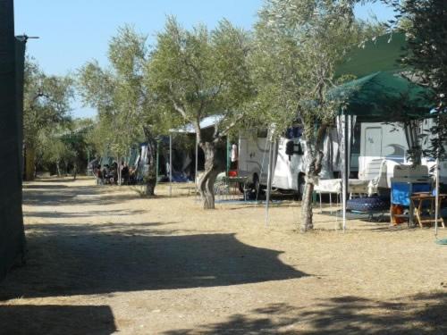 Empty lot photo 3