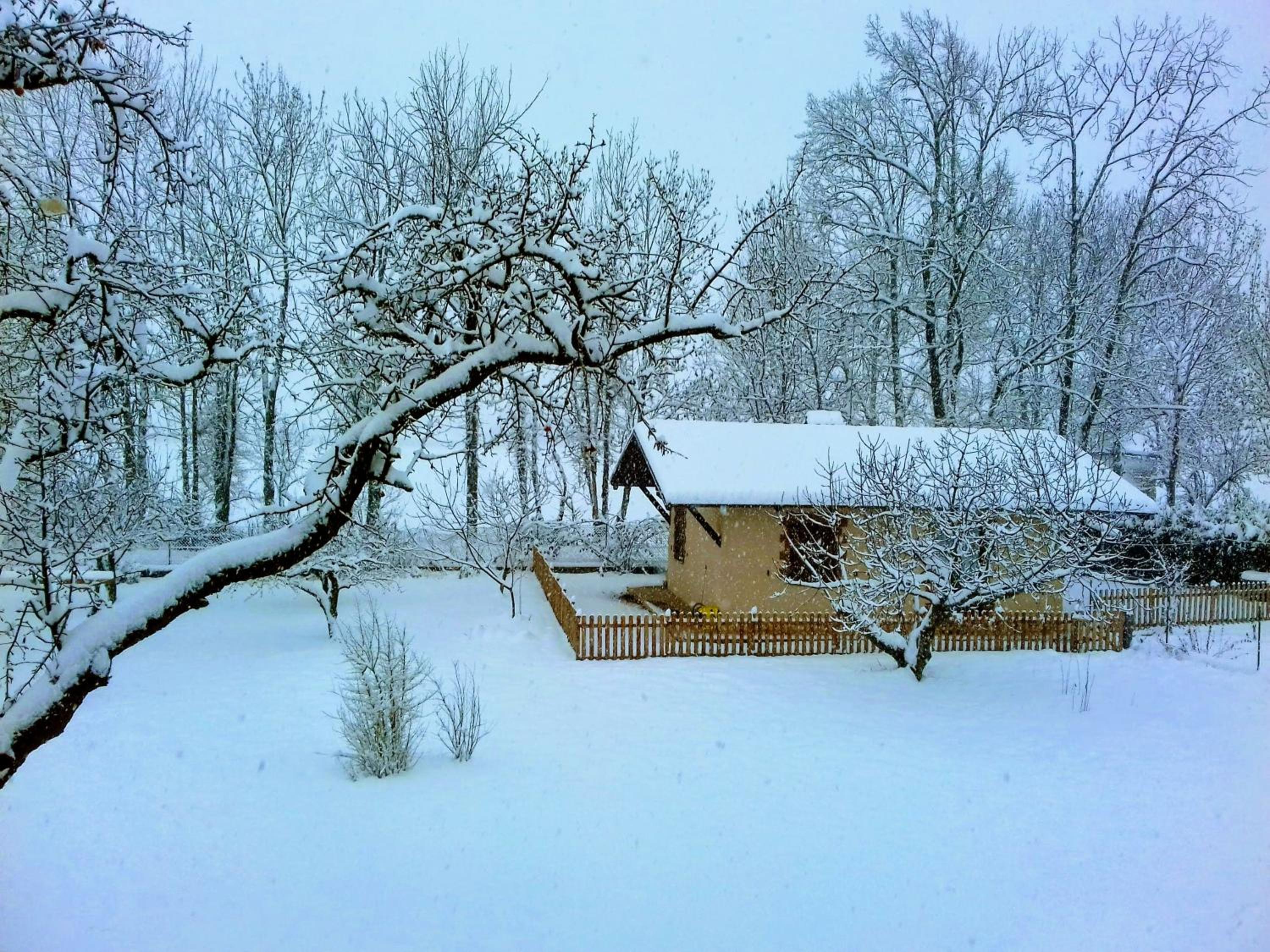 Holiday Home