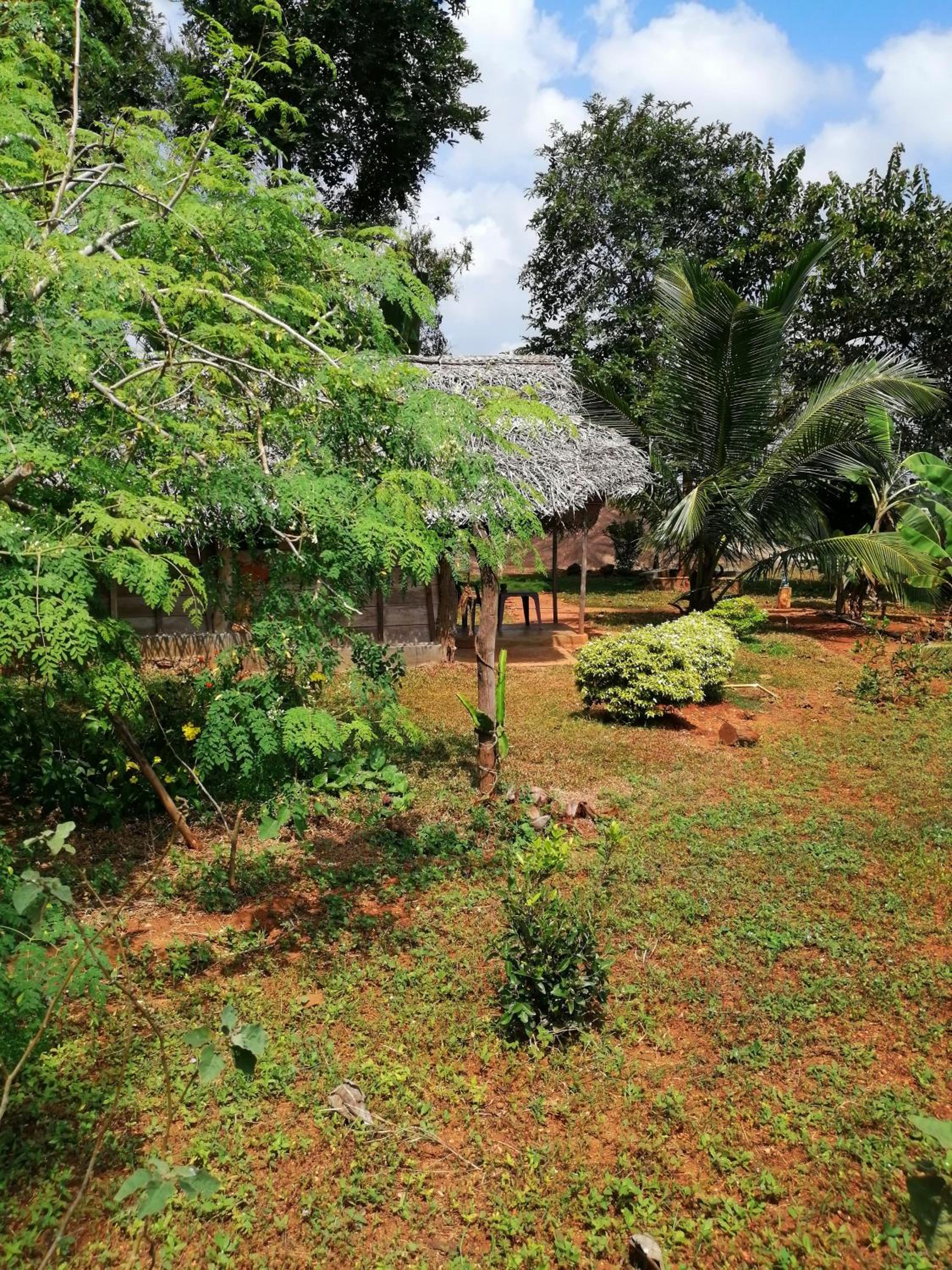 Double Room With Lake View photo 2
