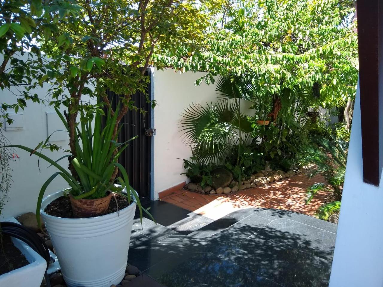 Suite - Photo 20