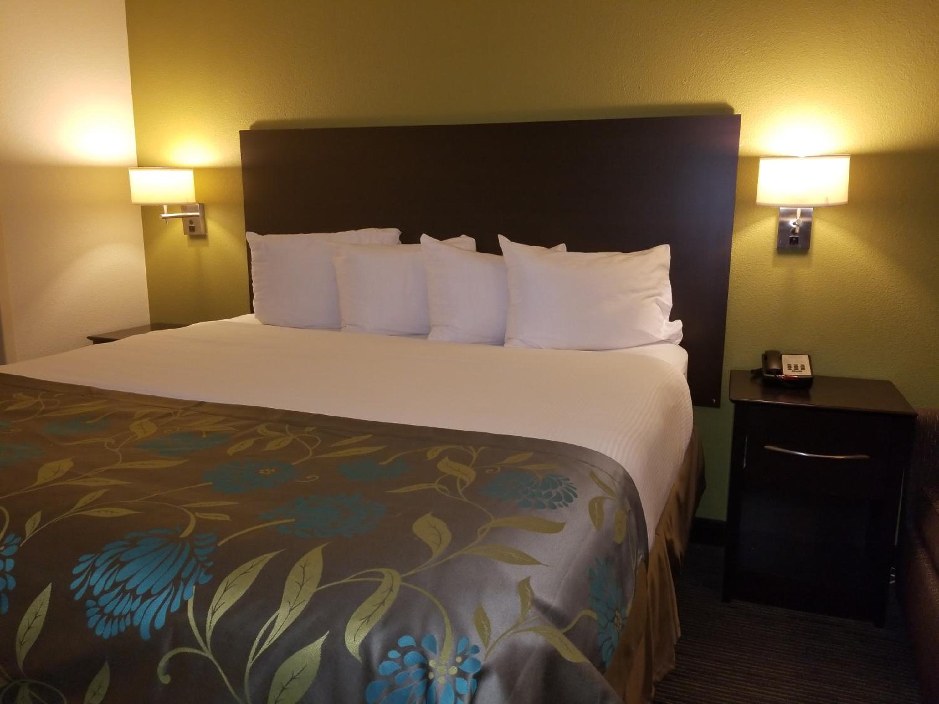 Deluxe King Suite - Non-Smoking - Photo 2