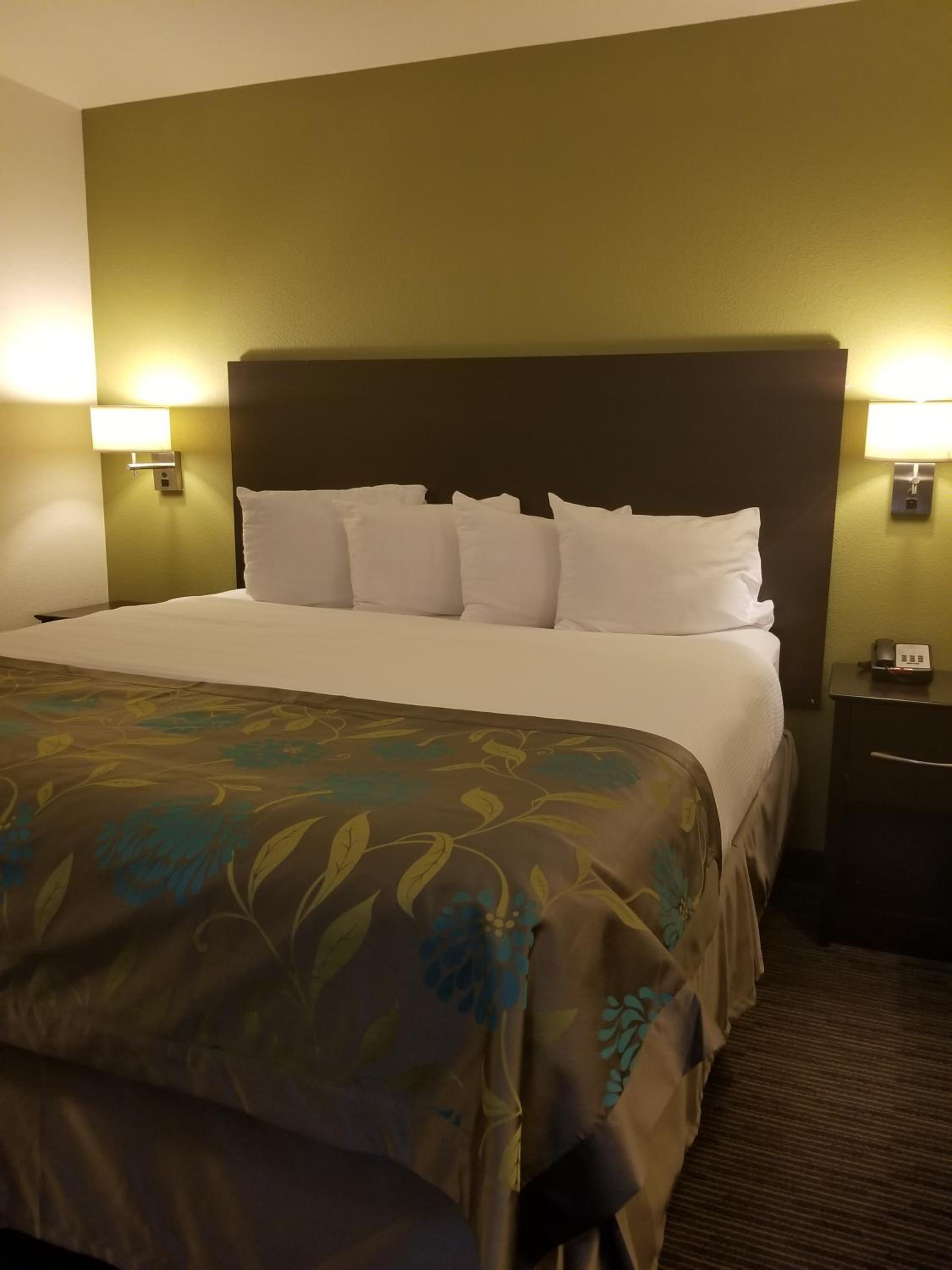 Deluxe King Suite - Non-Smoking - Photo 10
