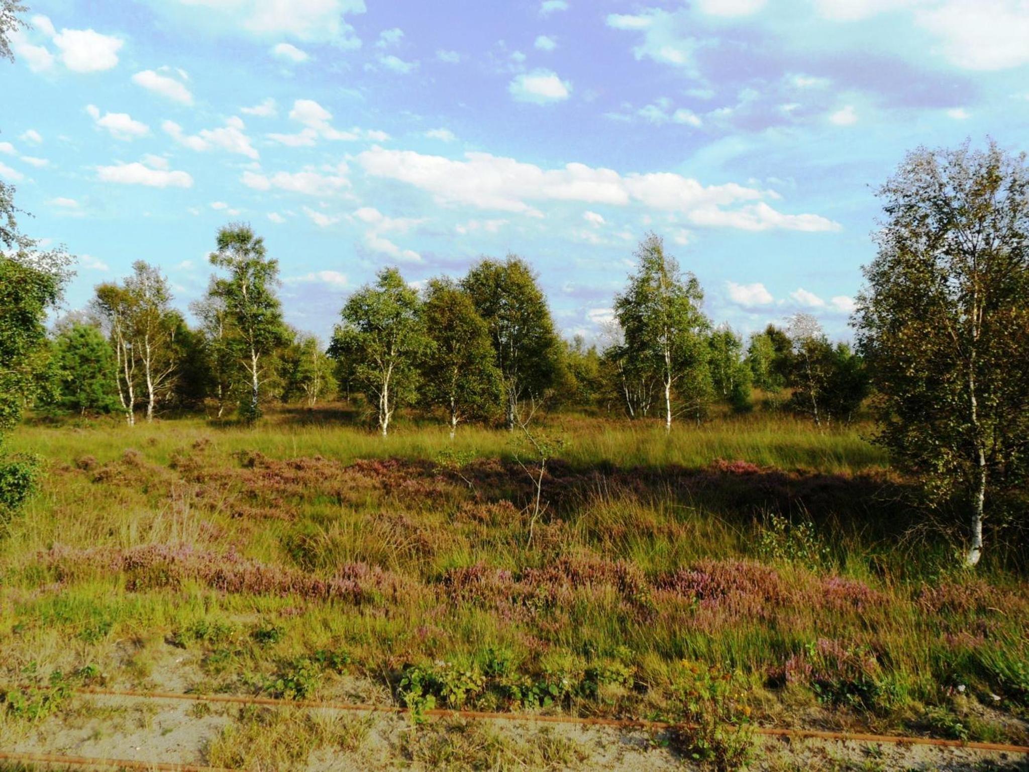 Two-Bedroom Apartment with Balcony - Photo 86