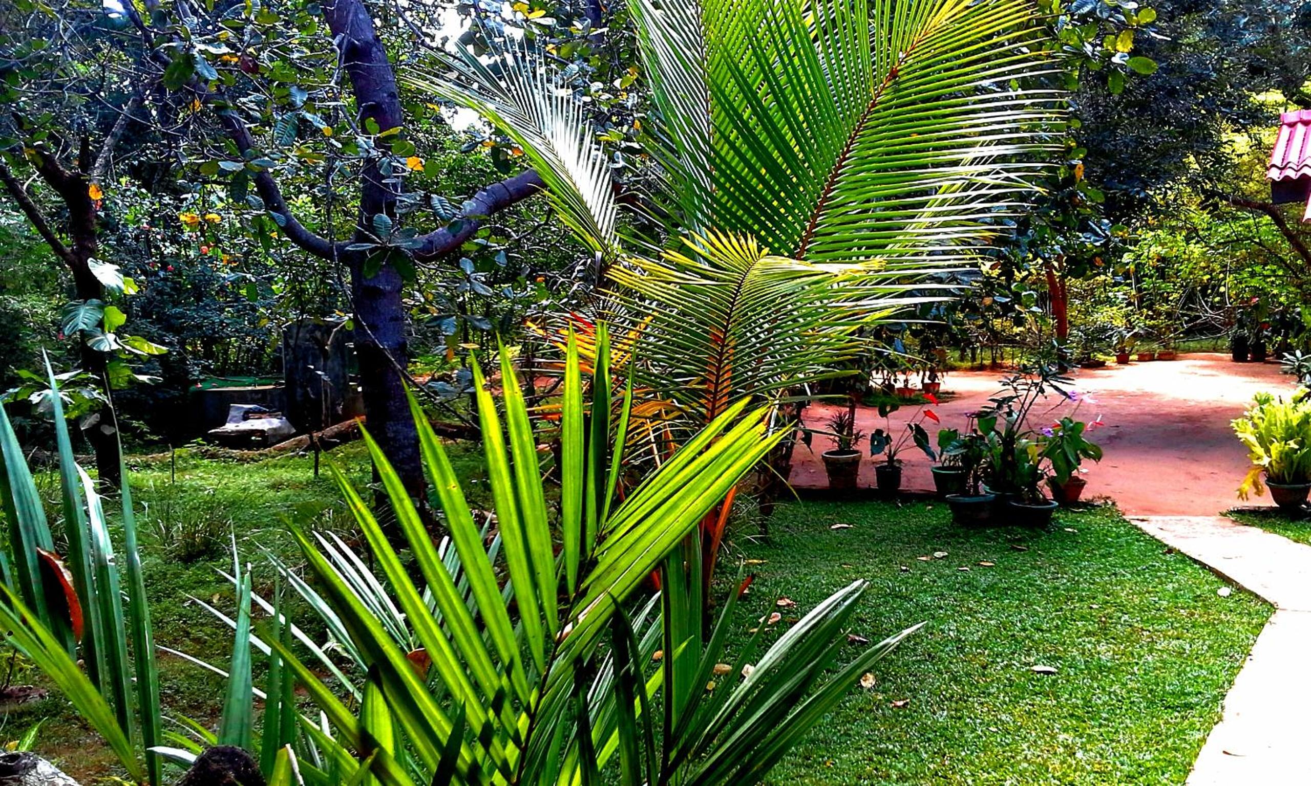 Deluxe Triple Room photo 2