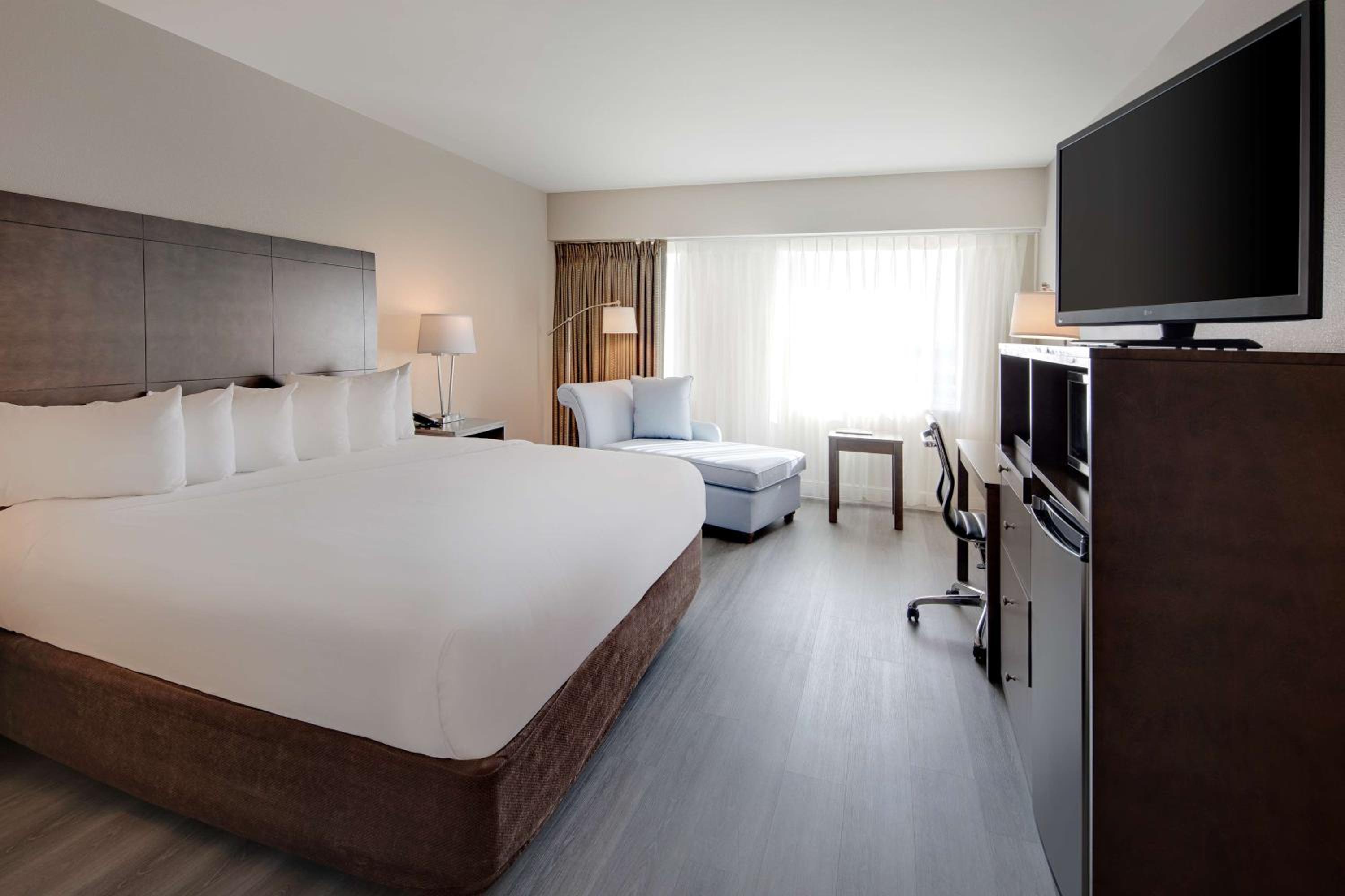 King Room - Photo 5