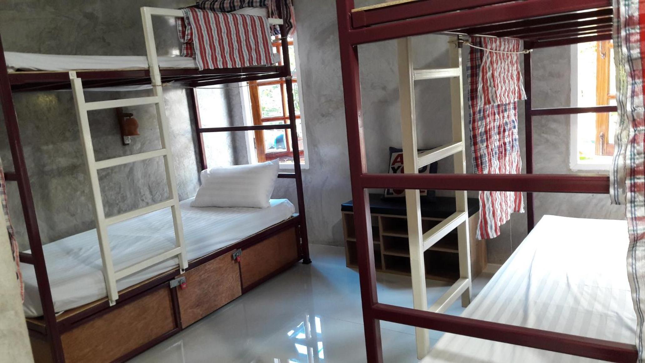 Bunk Bed in Mixed Dormitory Room photo 1