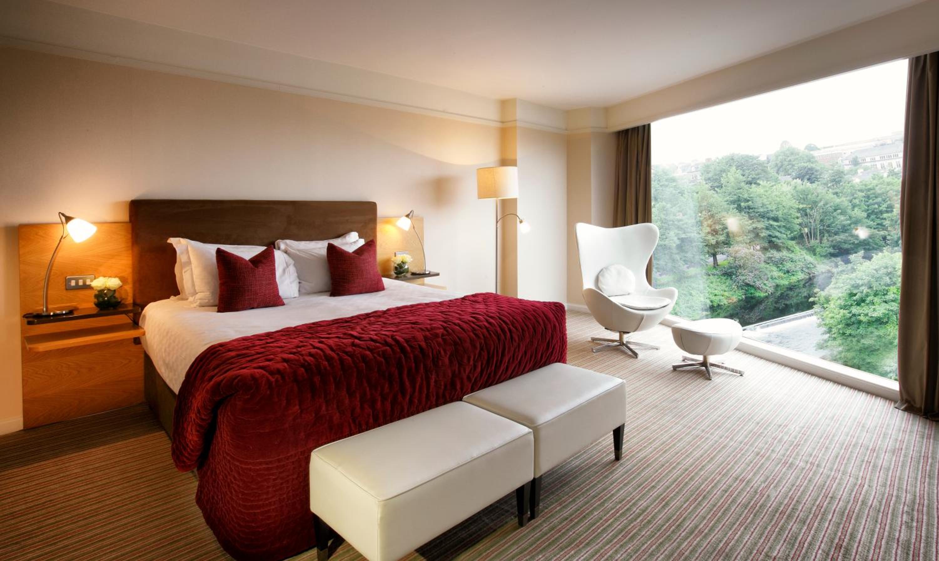 Deluxe 1 King Bed