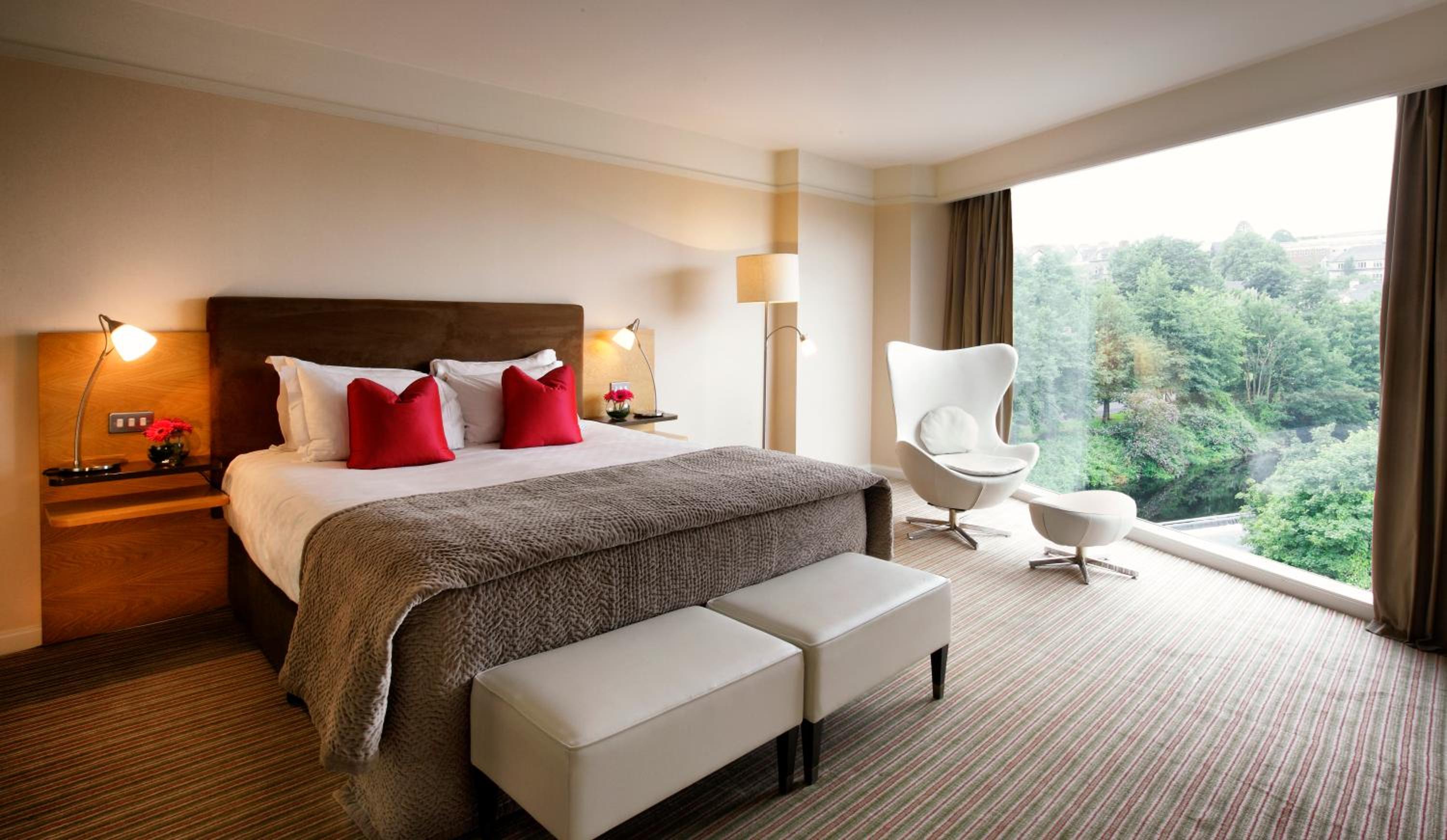 Deluxe 1 King Bed thumbnail 6