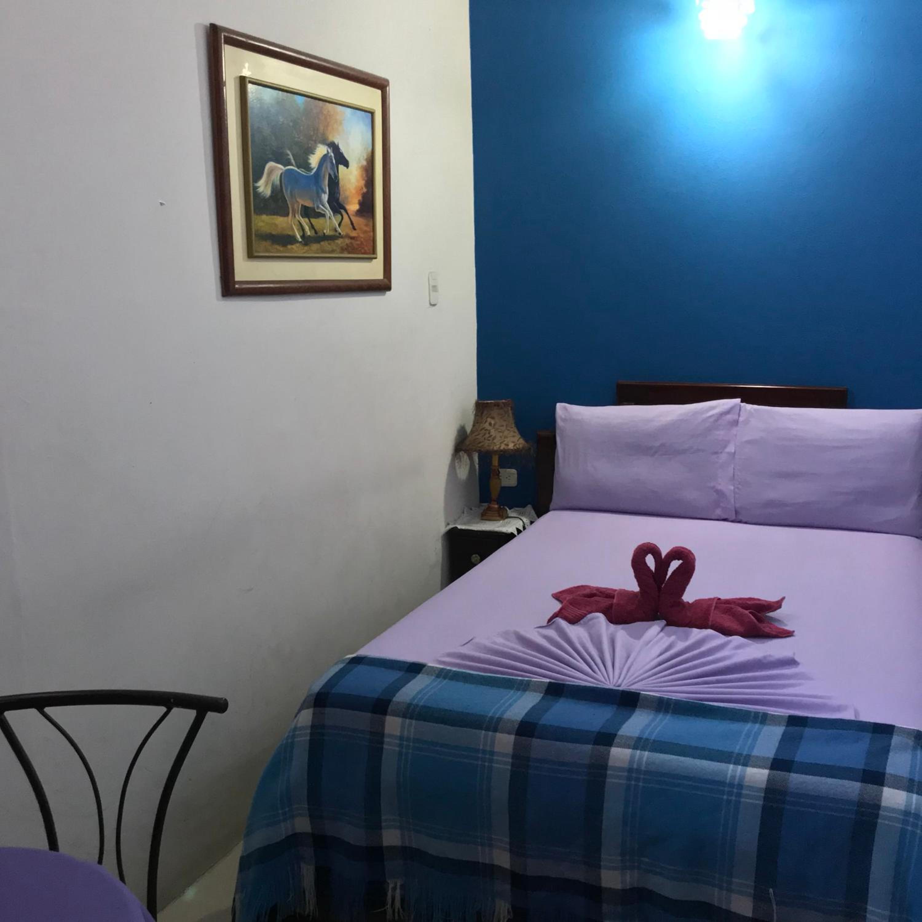 Deluxe Room photo 3