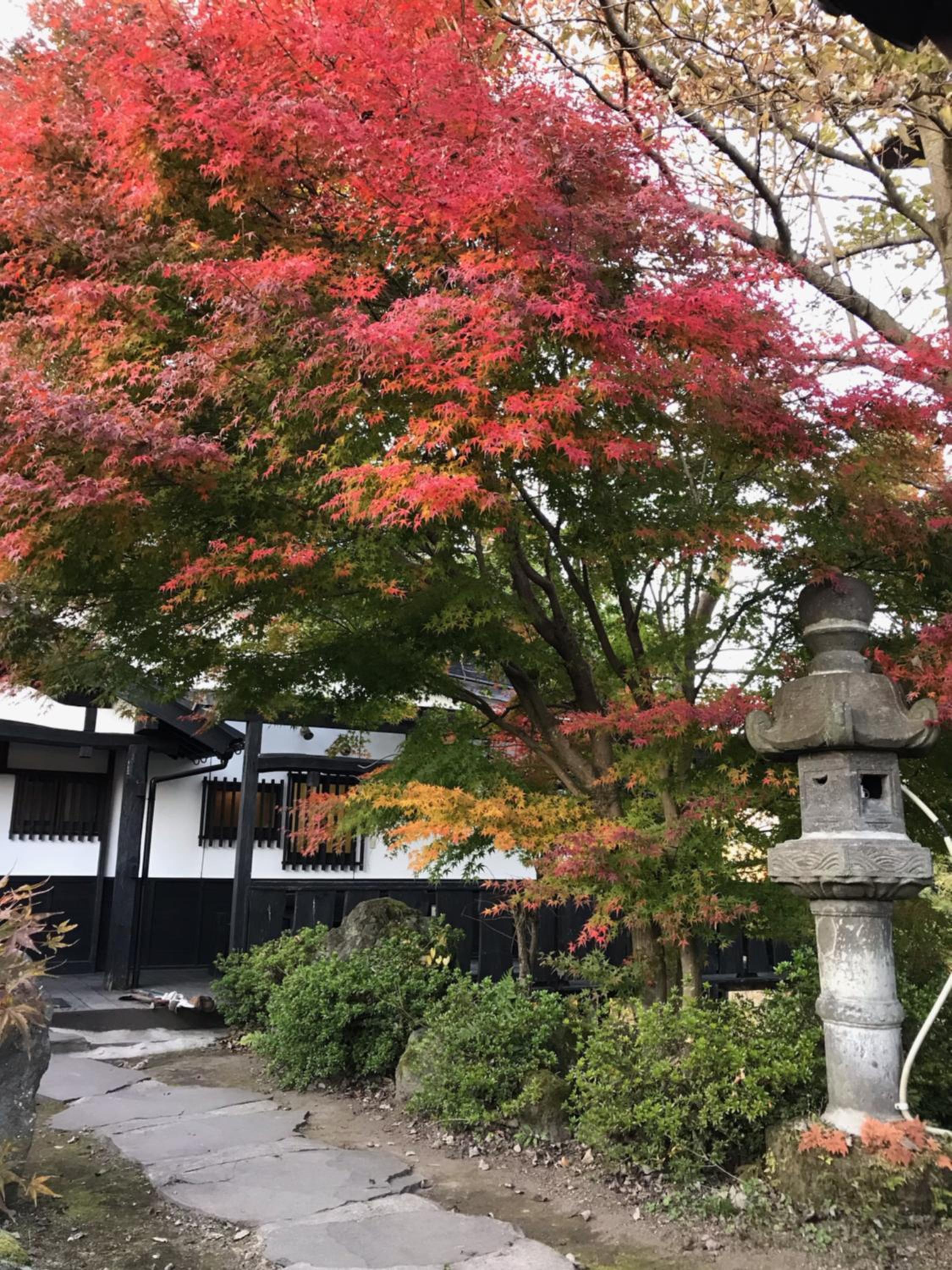 Standard Japanese-Style House  - Photo 6