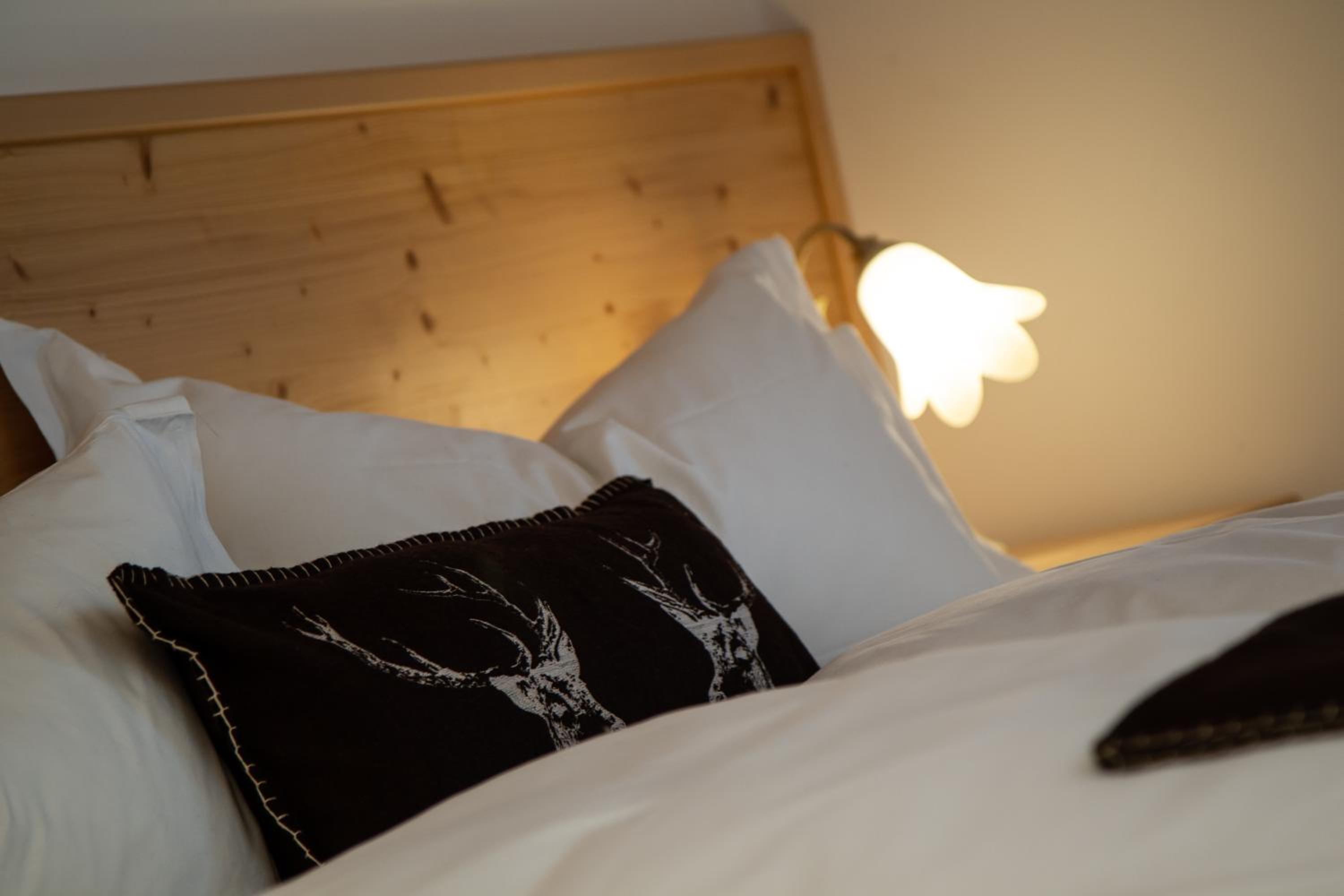 Superior Double or Twin Room with Mountain View - Photo 8