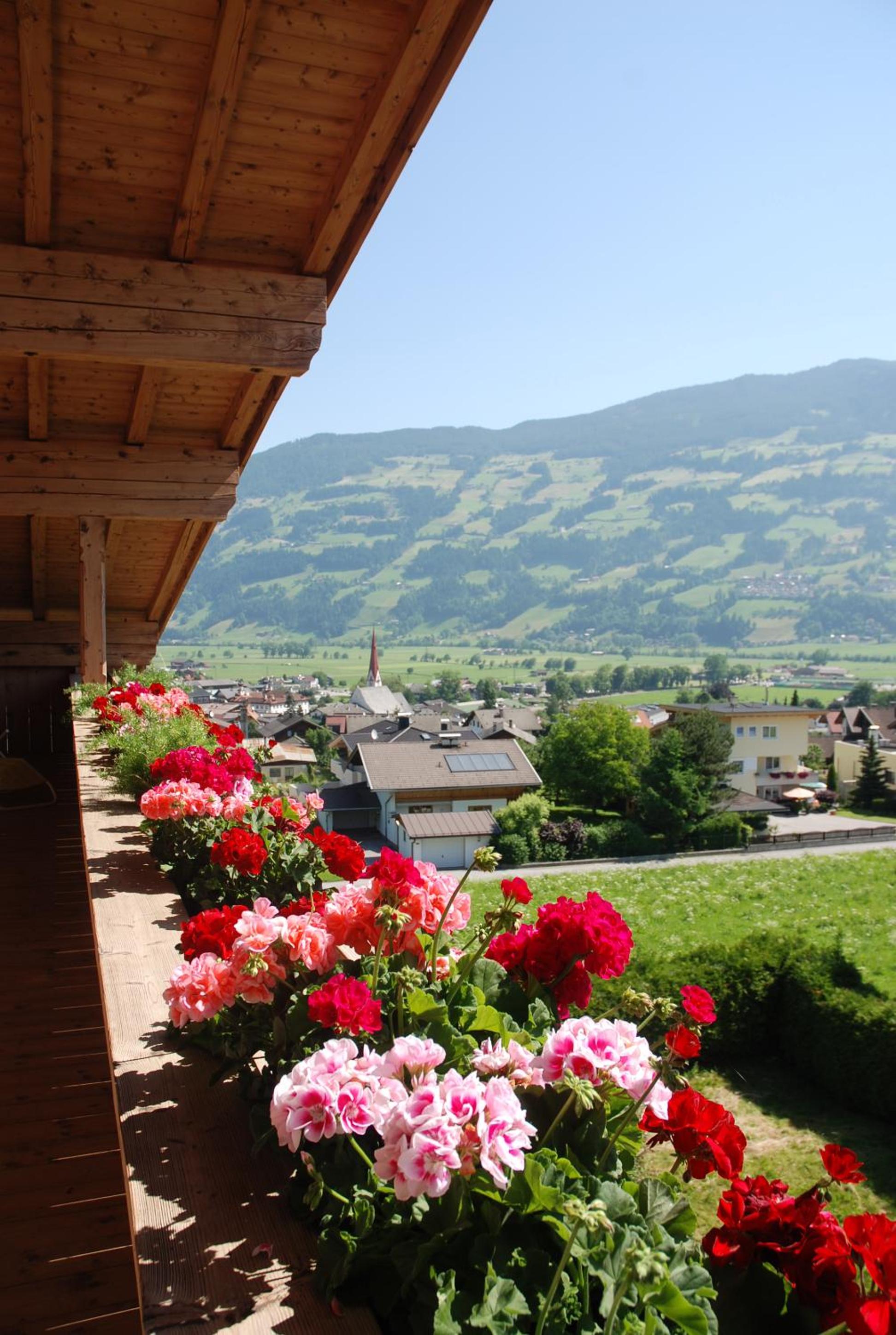 Double Room with Mountain View photo 3