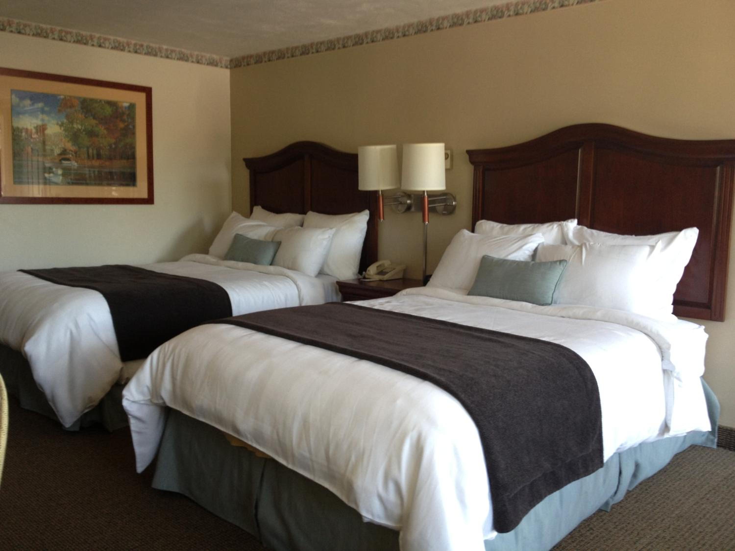 Two-Bedroom Suite - Photo 4