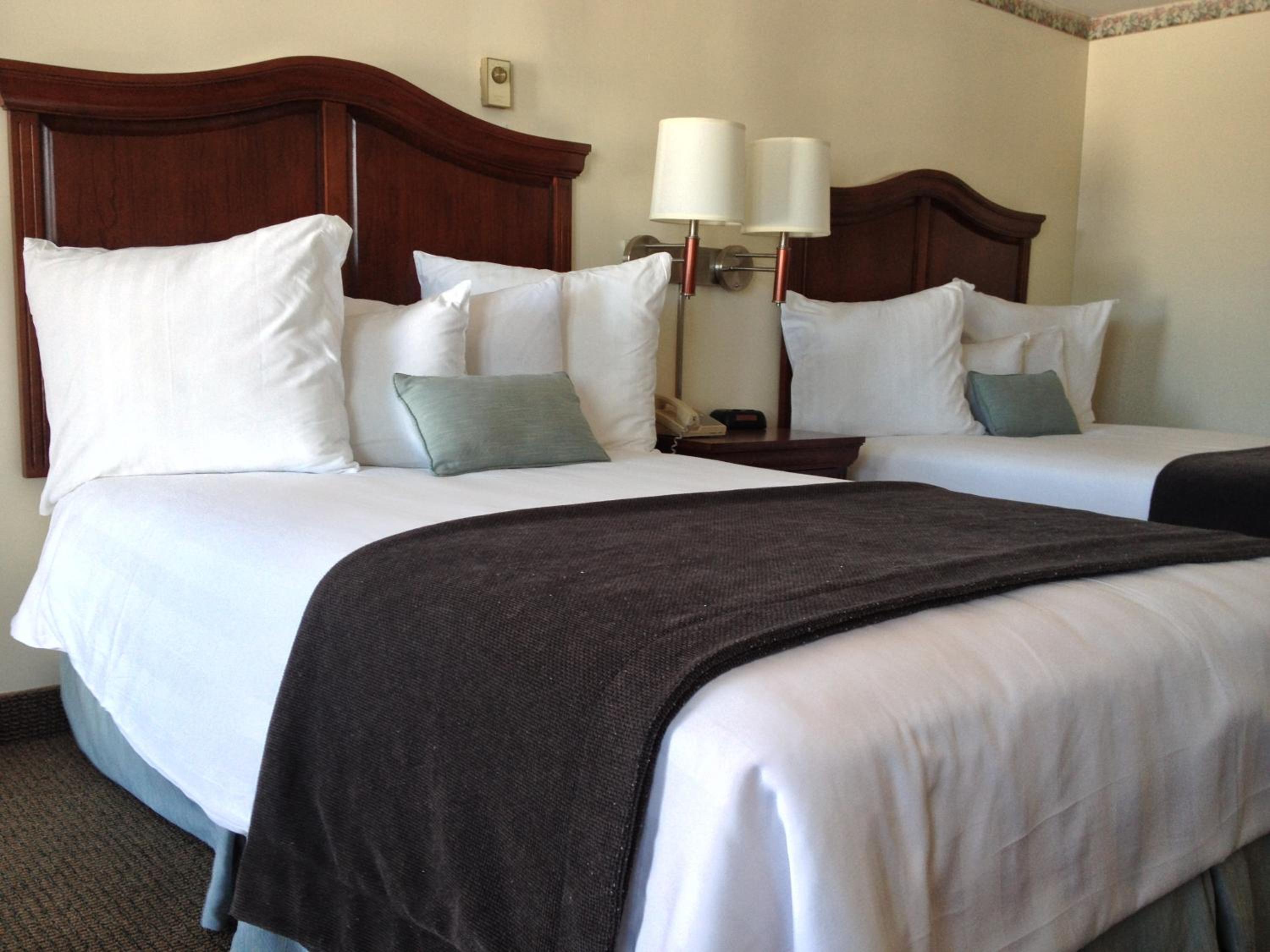Two-Bedroom Suite - Photo 3