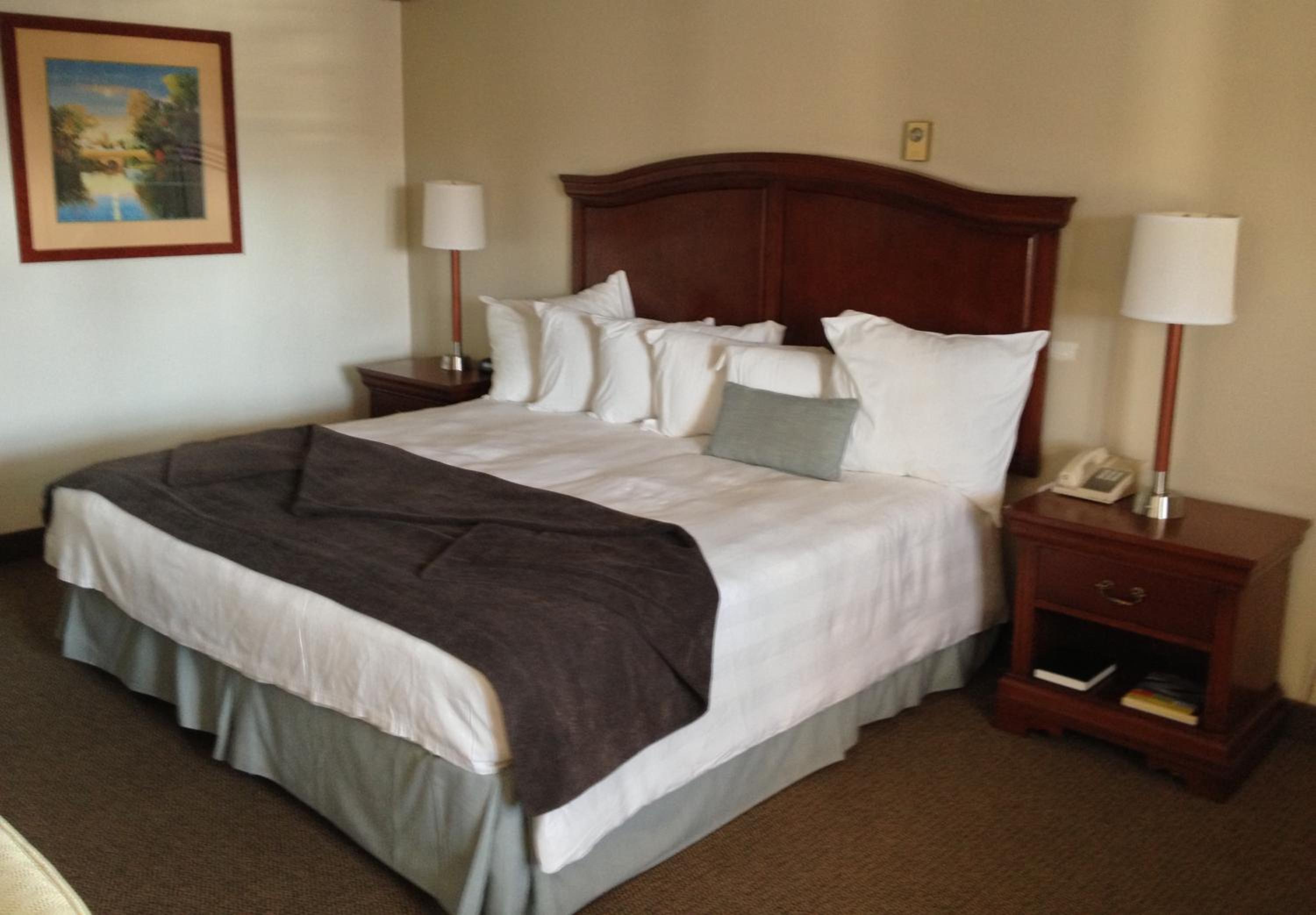 King Room with Sofa Bed - Photo 10