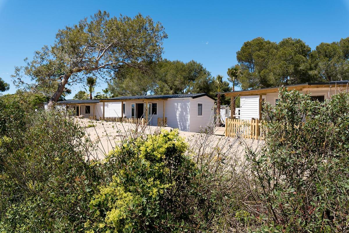 Mobile Home