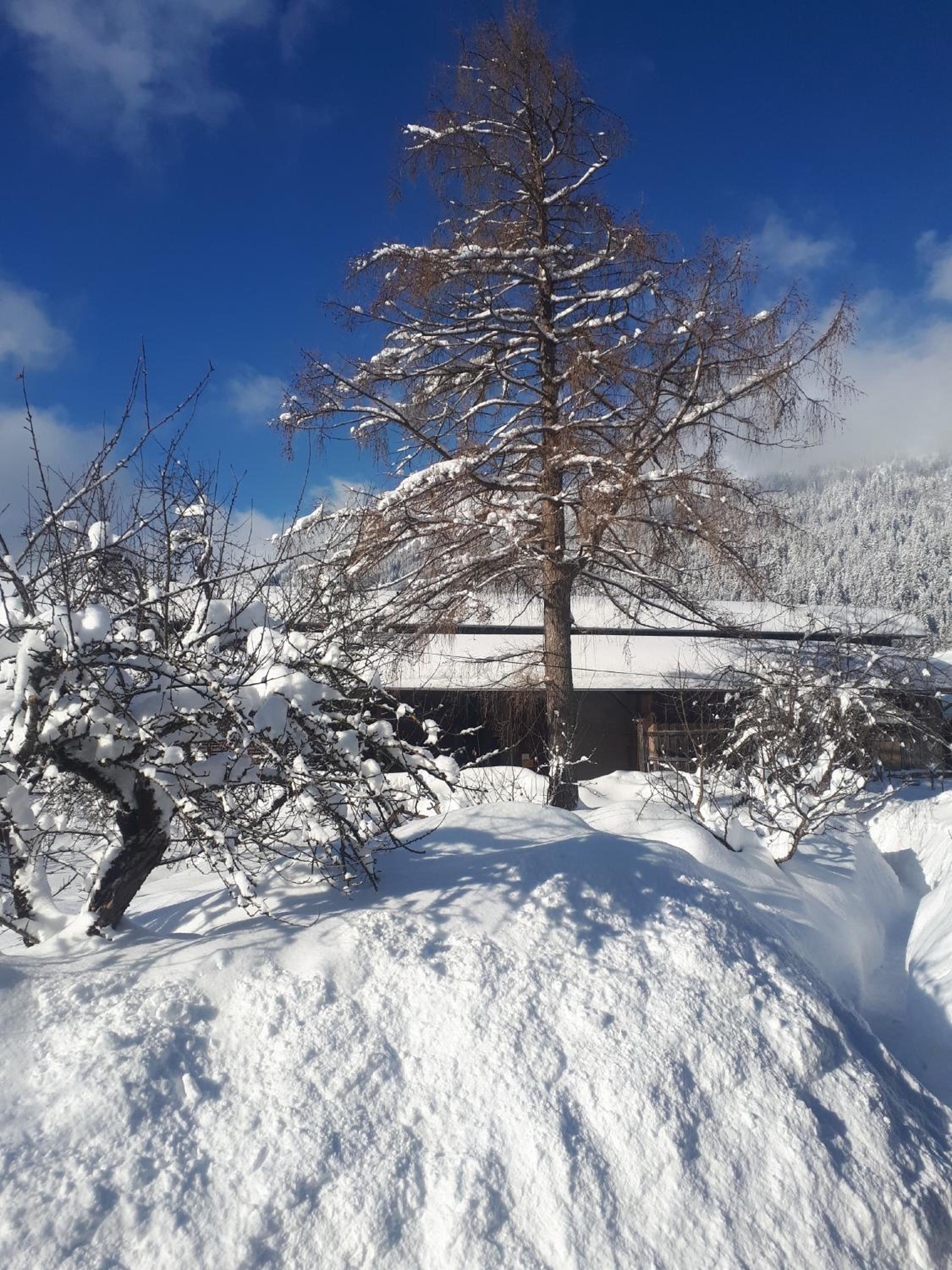 Vacation Home photo 2