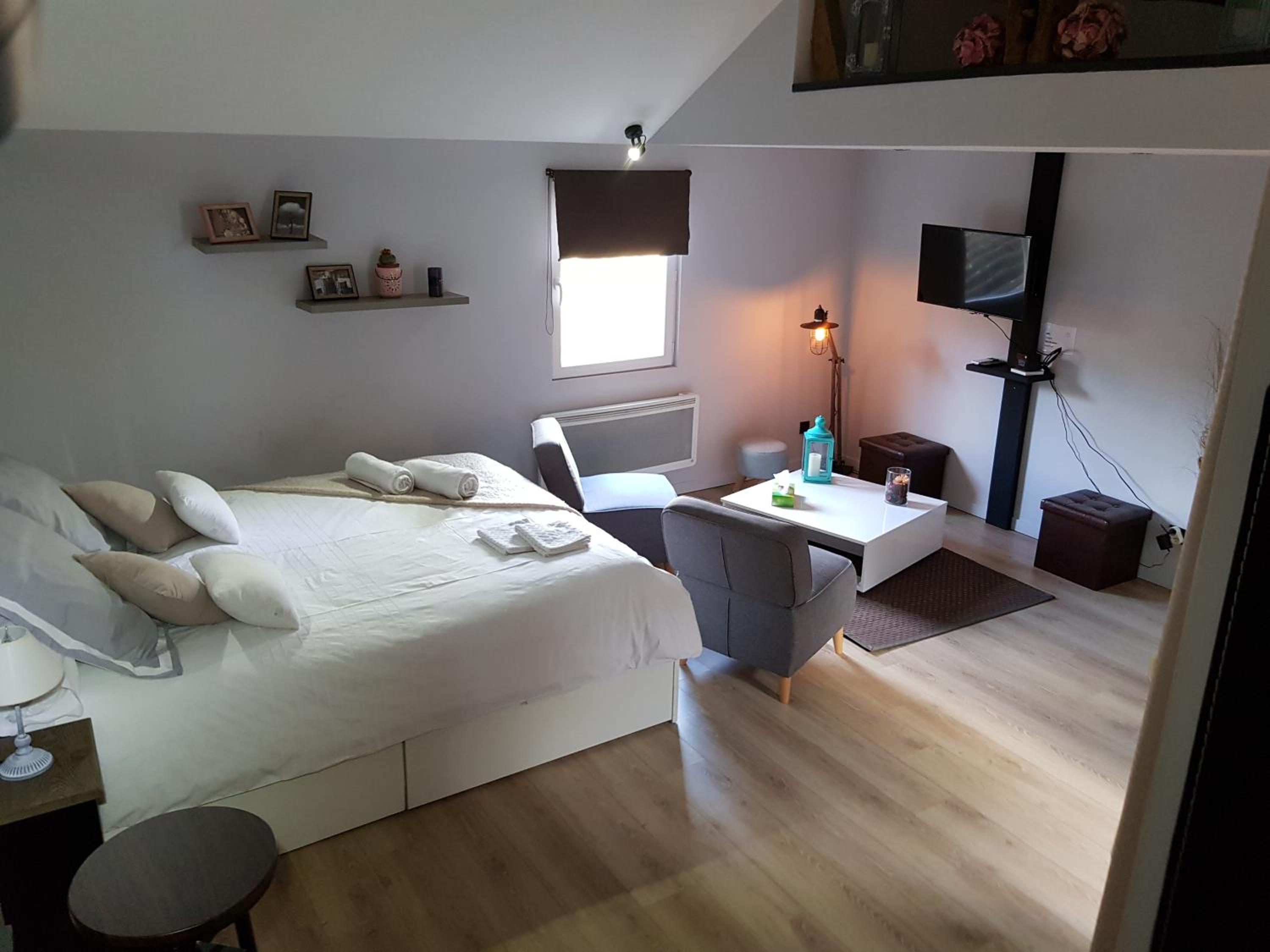 Studio Apartment photo 3
