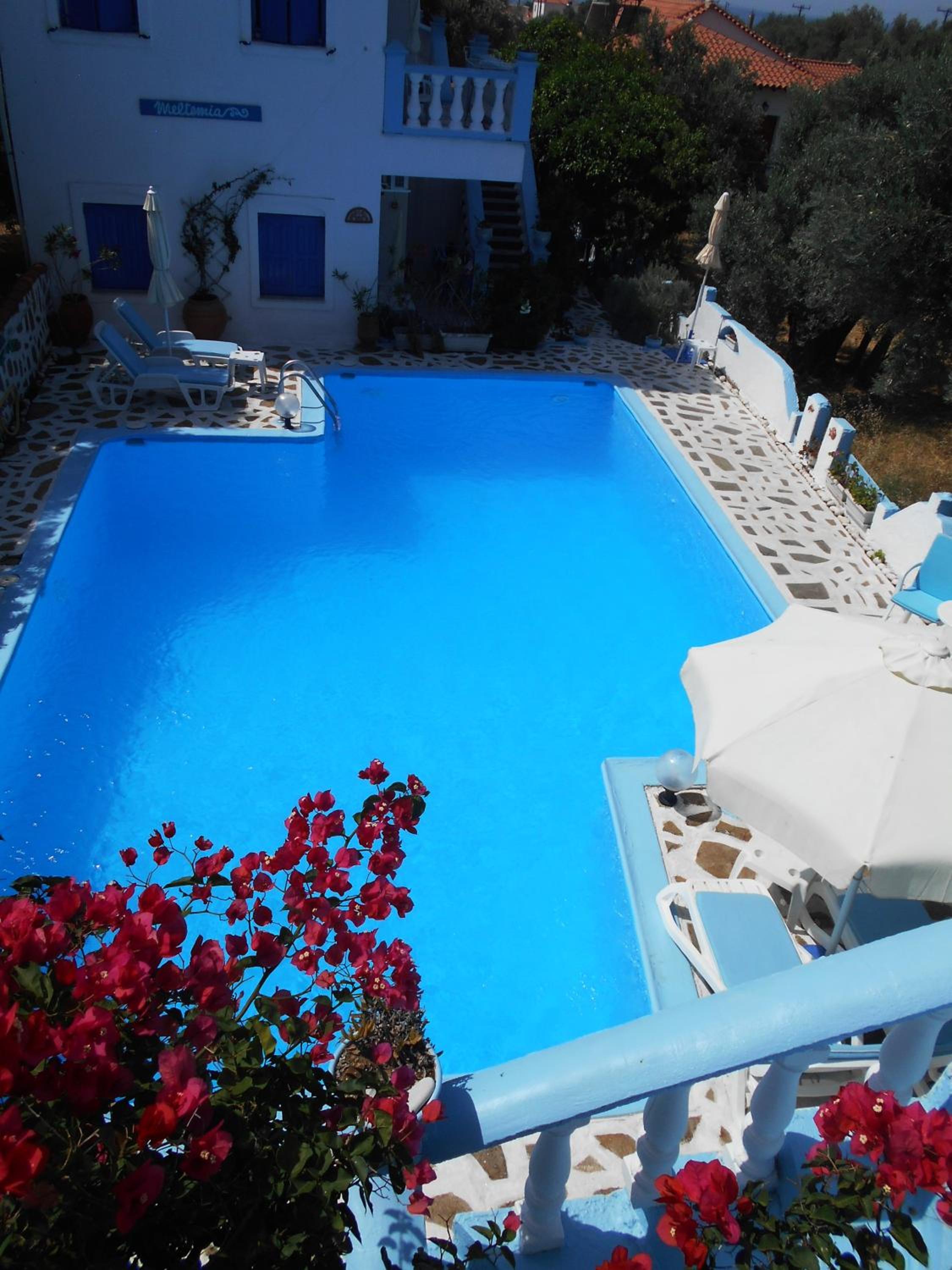 Apartment with Pool View  photo 3