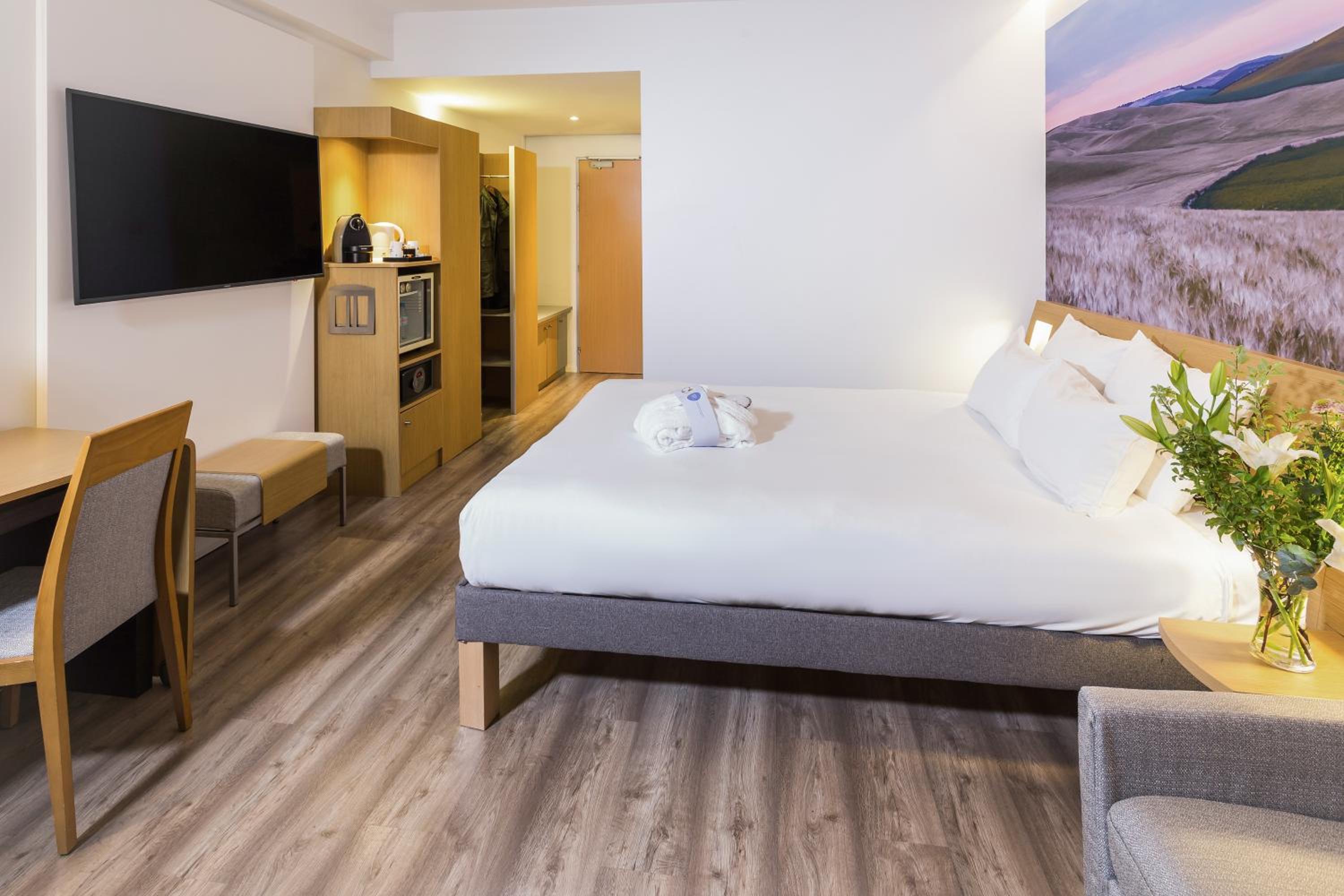 Executive Queen Room With Sofa Bed