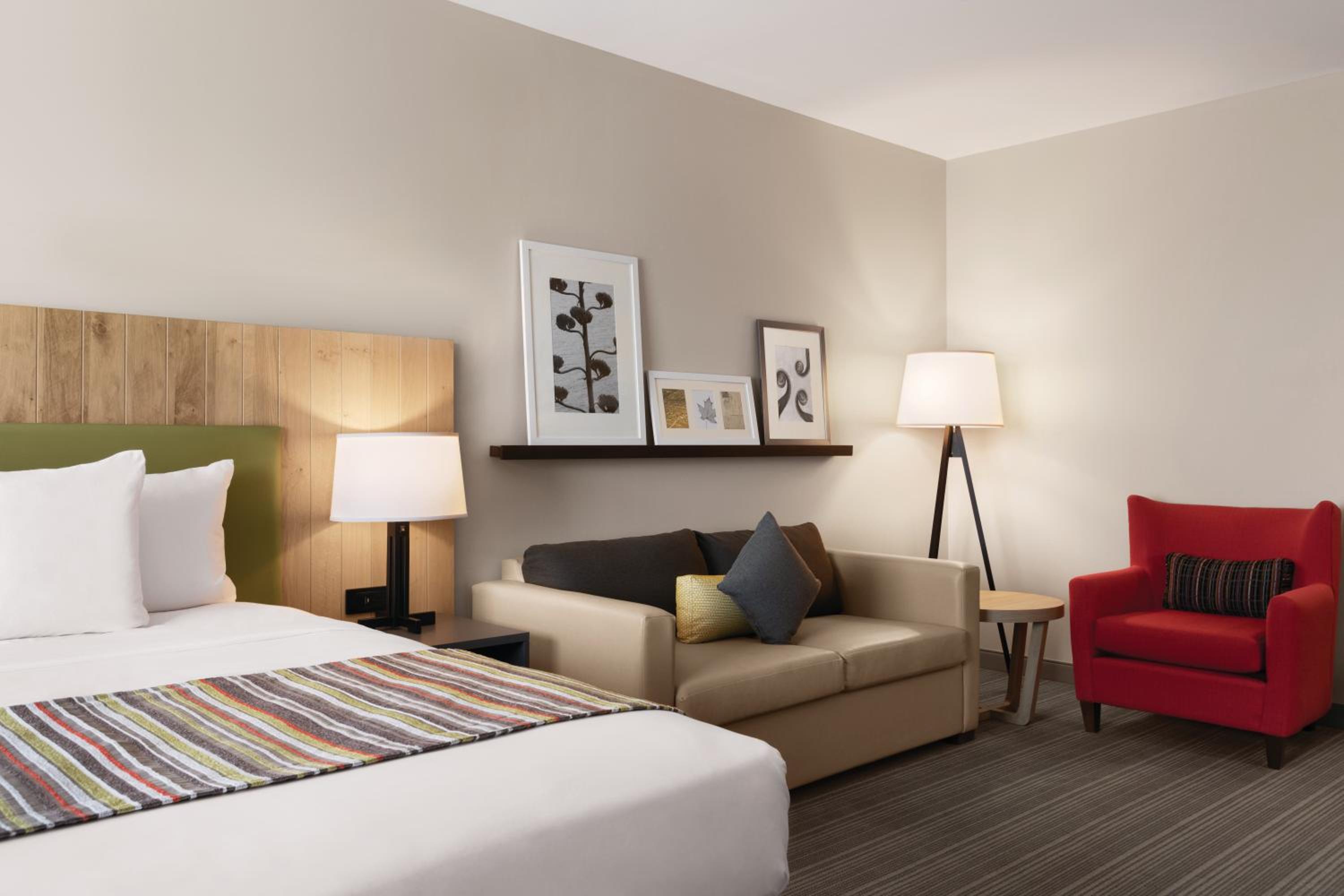 King Suite with Sofa Bed photo 1