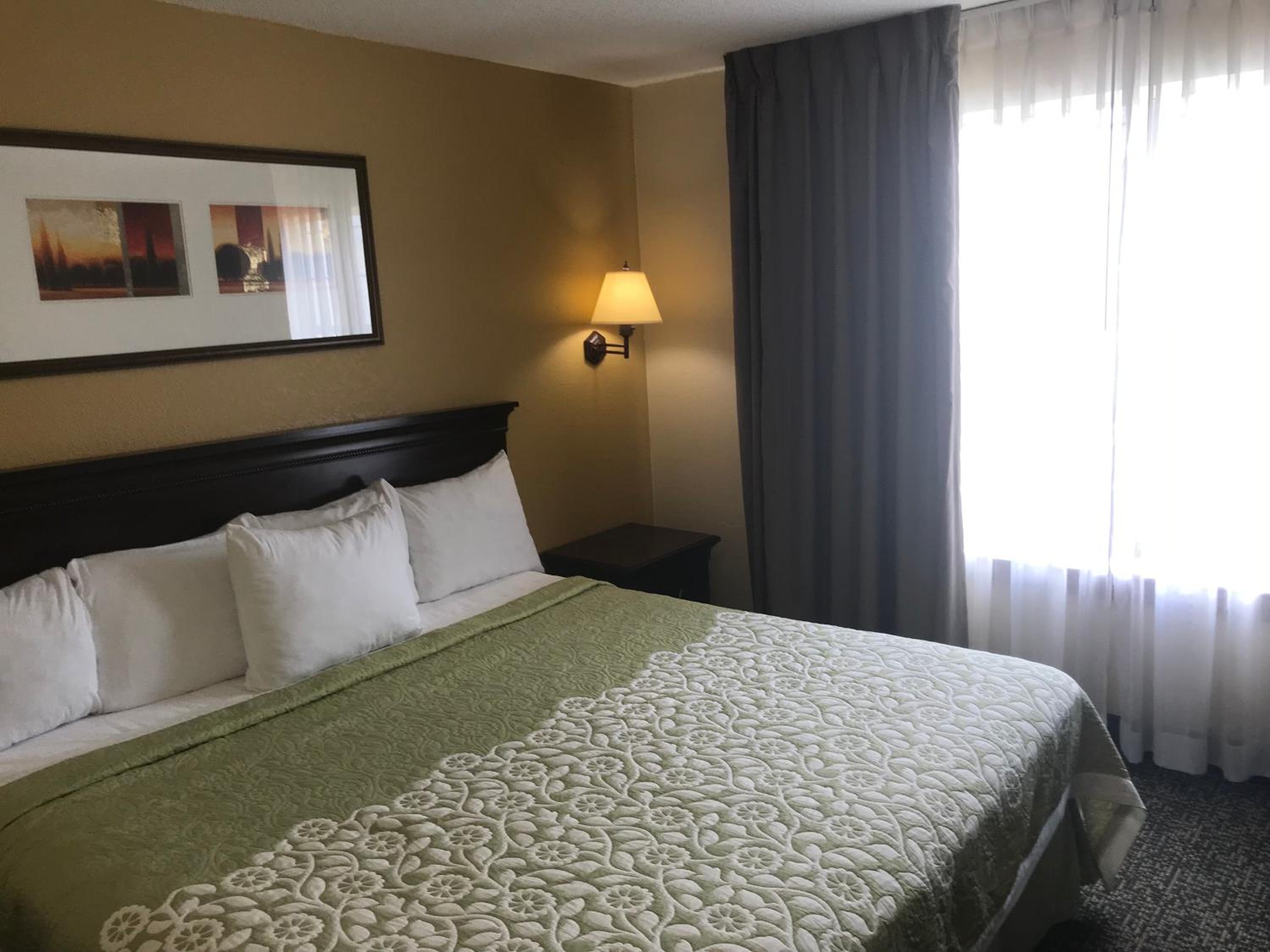 One-Bedroom King Suite - Non-Smoking - Photo 25