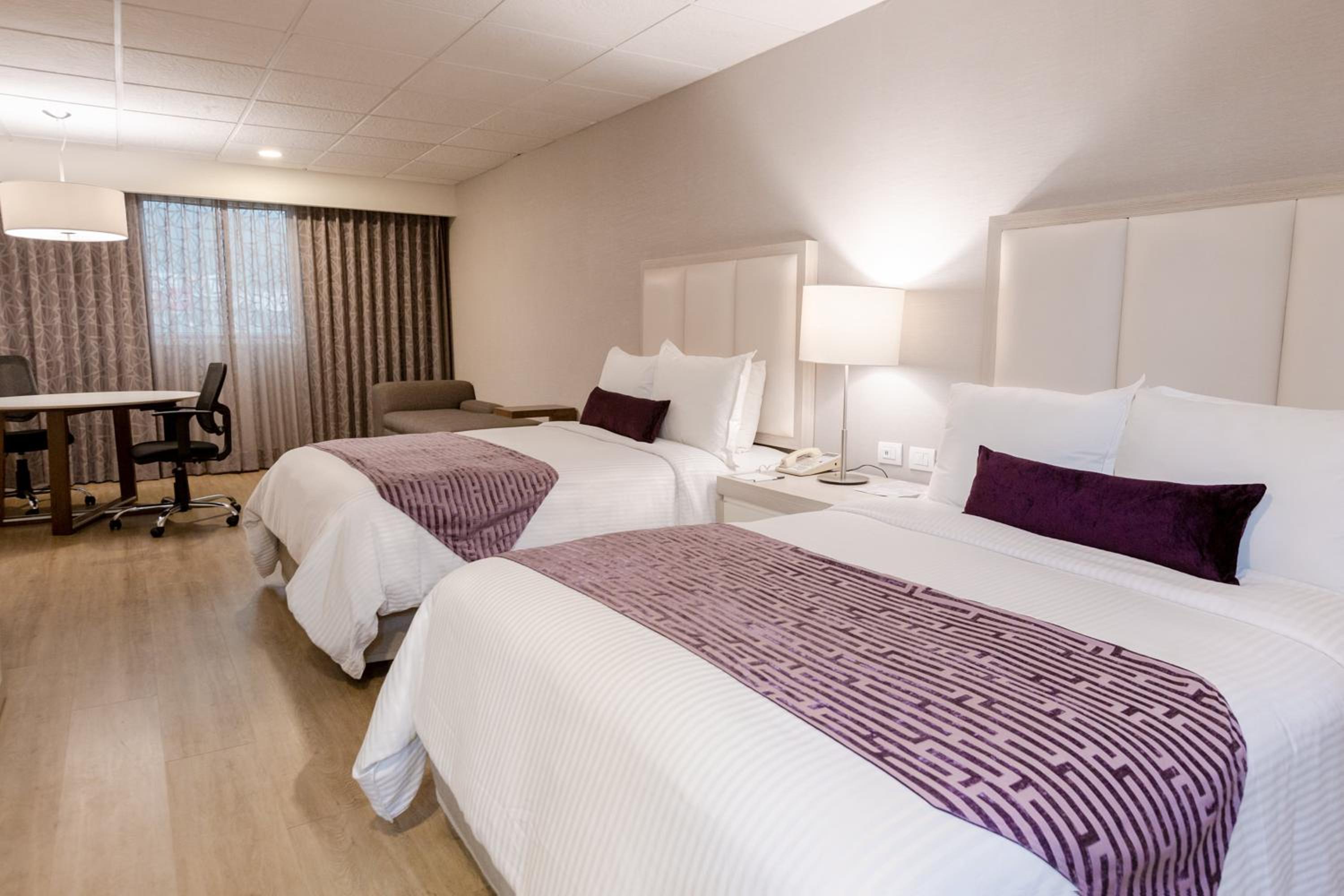 Deluxe Junior Suite - Photo 2