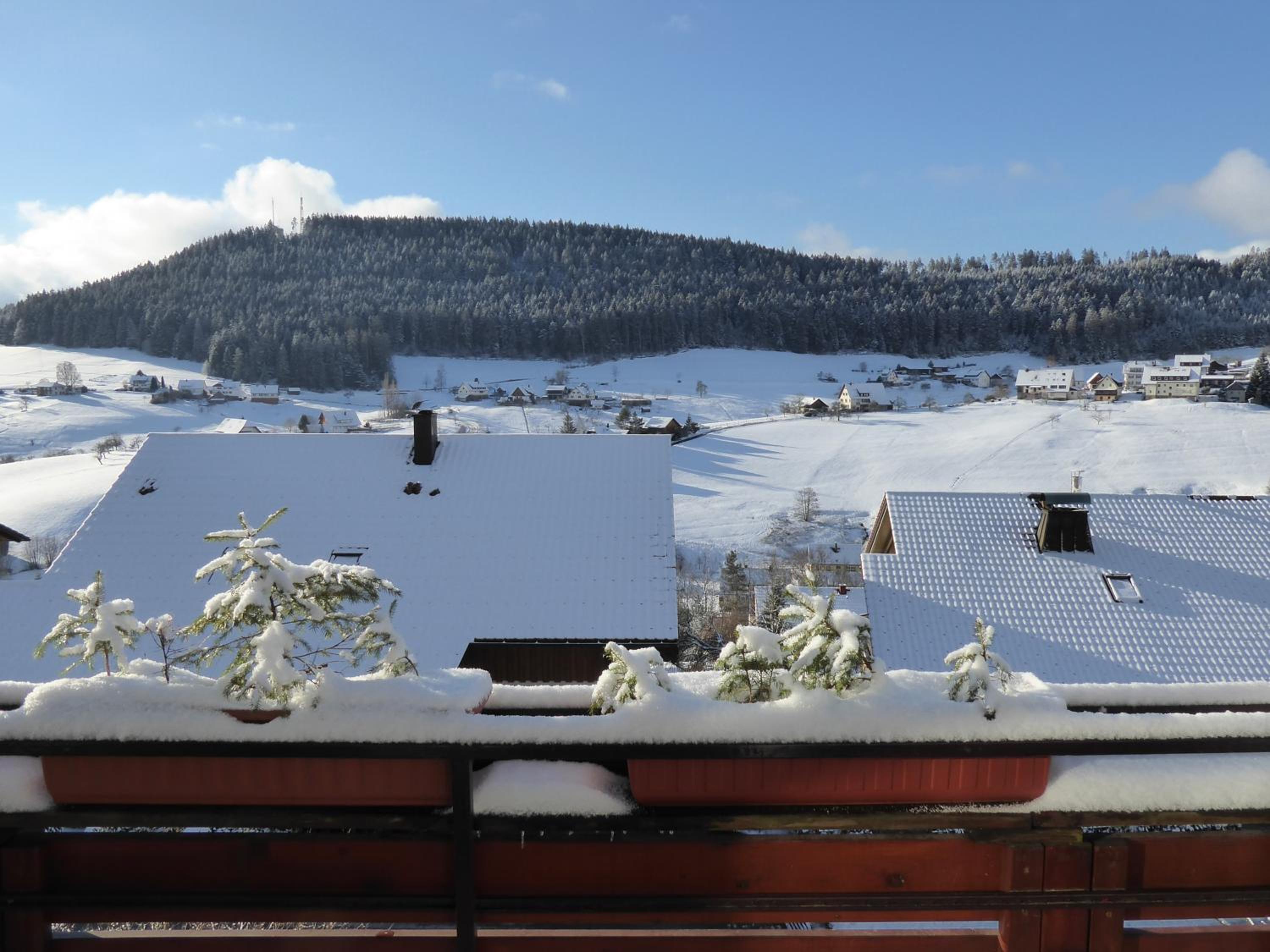 Apartment with View and Balcony photo 2