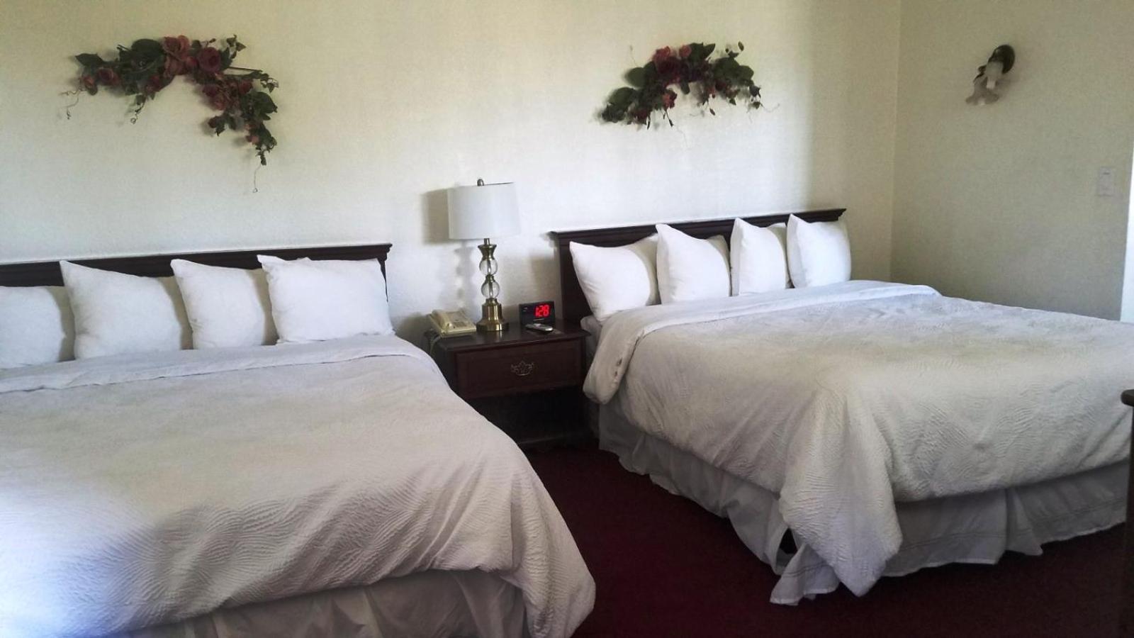 Standard Double Room with Two Double Beds photo 1