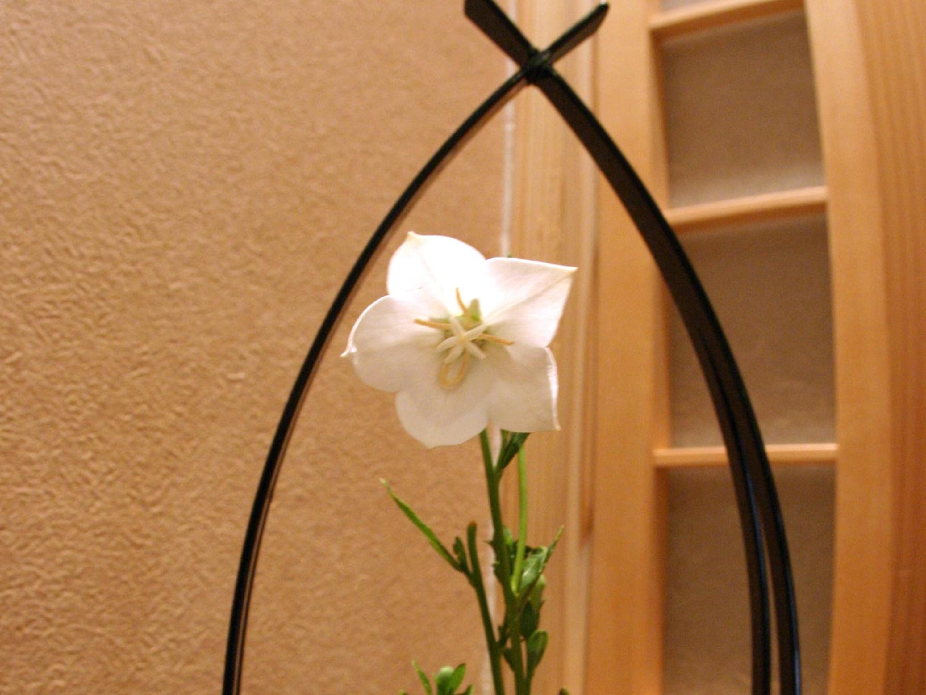 Japanese-Style Room - Photo 3